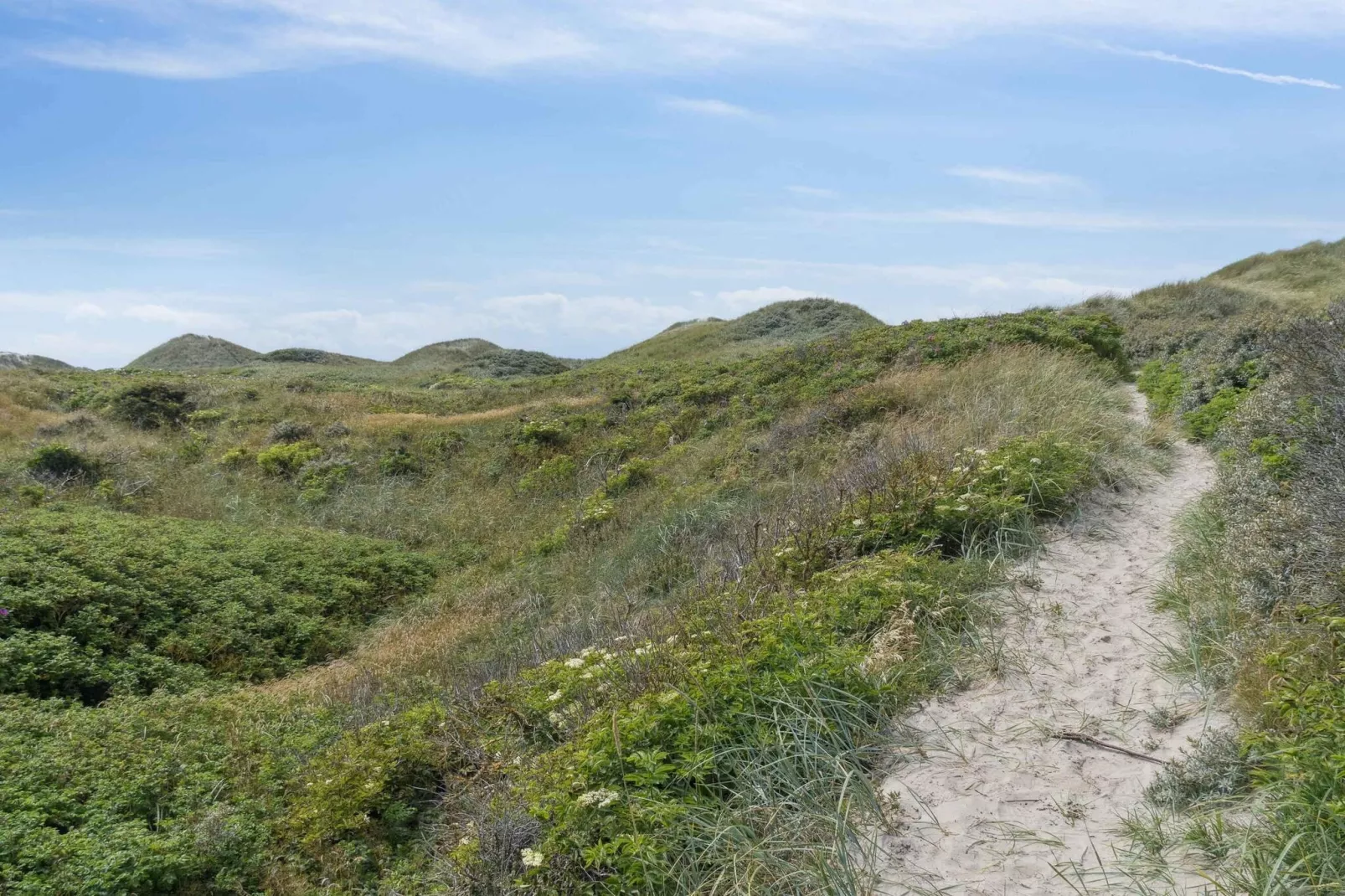 4 sterren vakantie huis in Pandrup