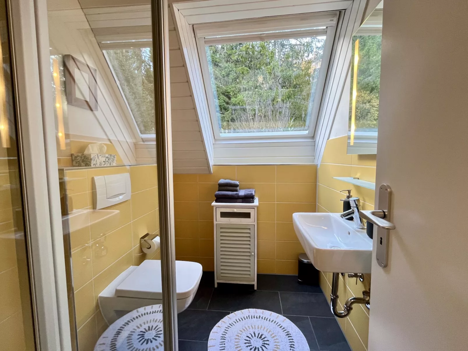 Falkennest - mit Blick auf den Titisee