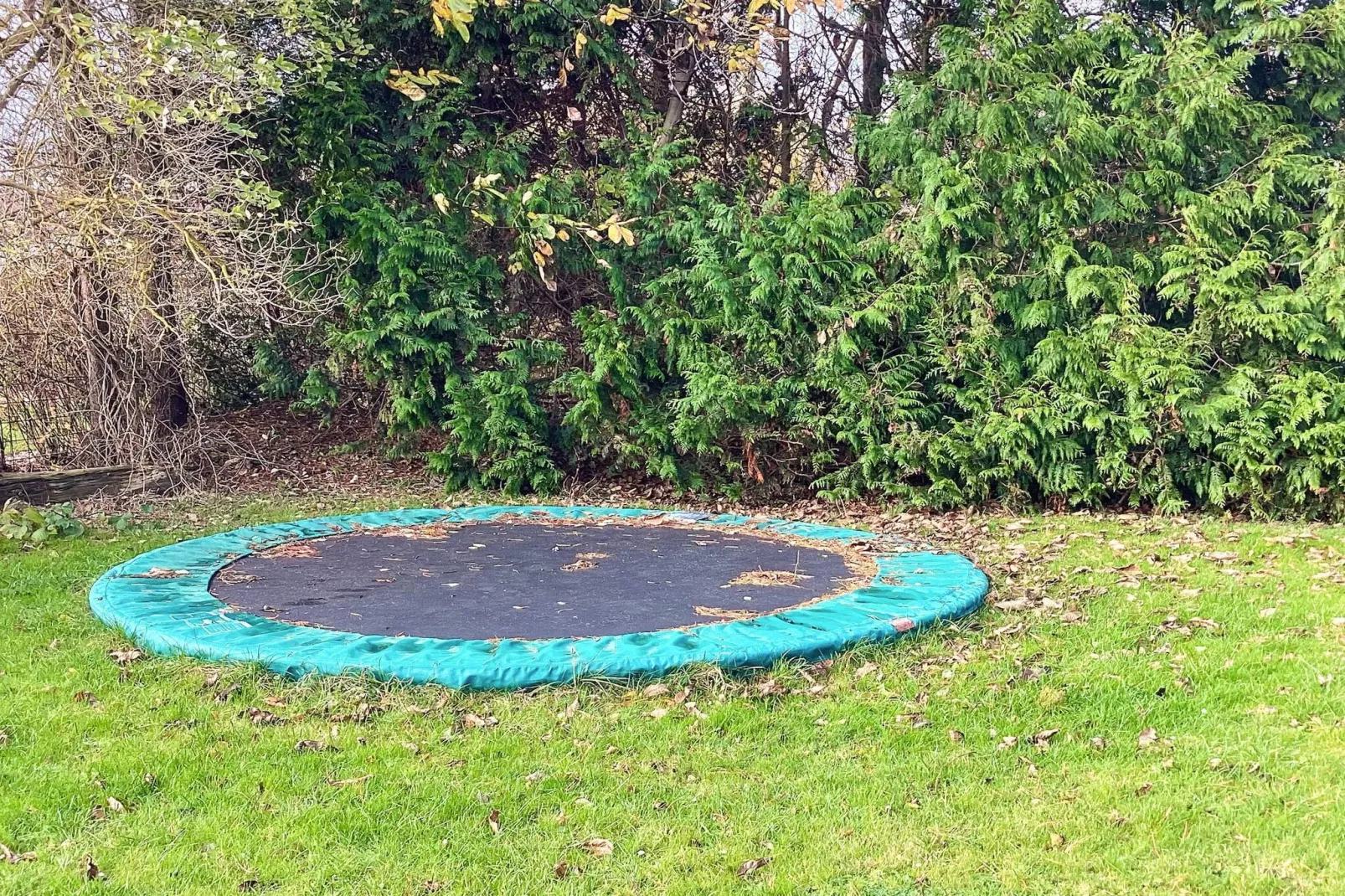 Huisdiervriendelijk verblijf vlakbij het strand