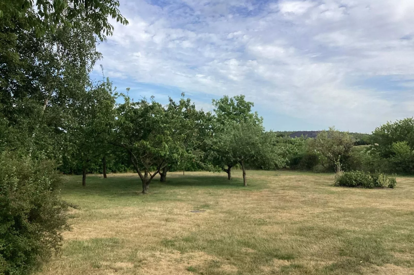 8 persoons vakantie huis in Højslev-By Traum-Buitenlucht