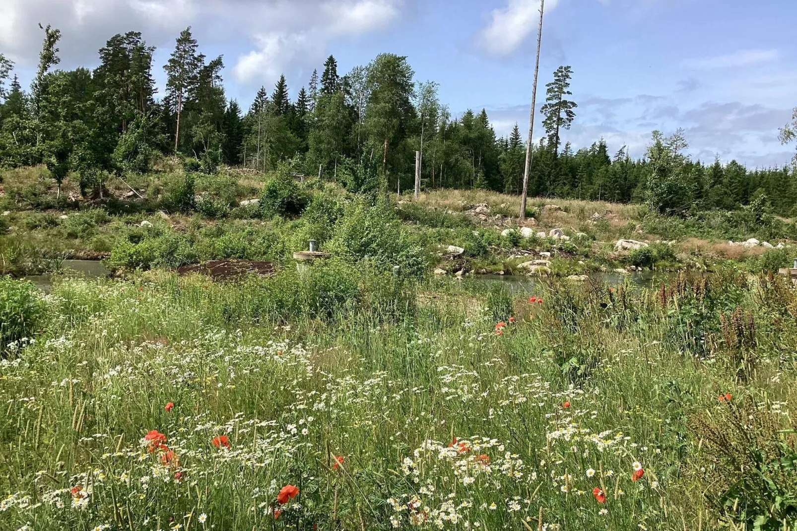 4 persoons vakantie huis in TRANÅS-Buitenlucht