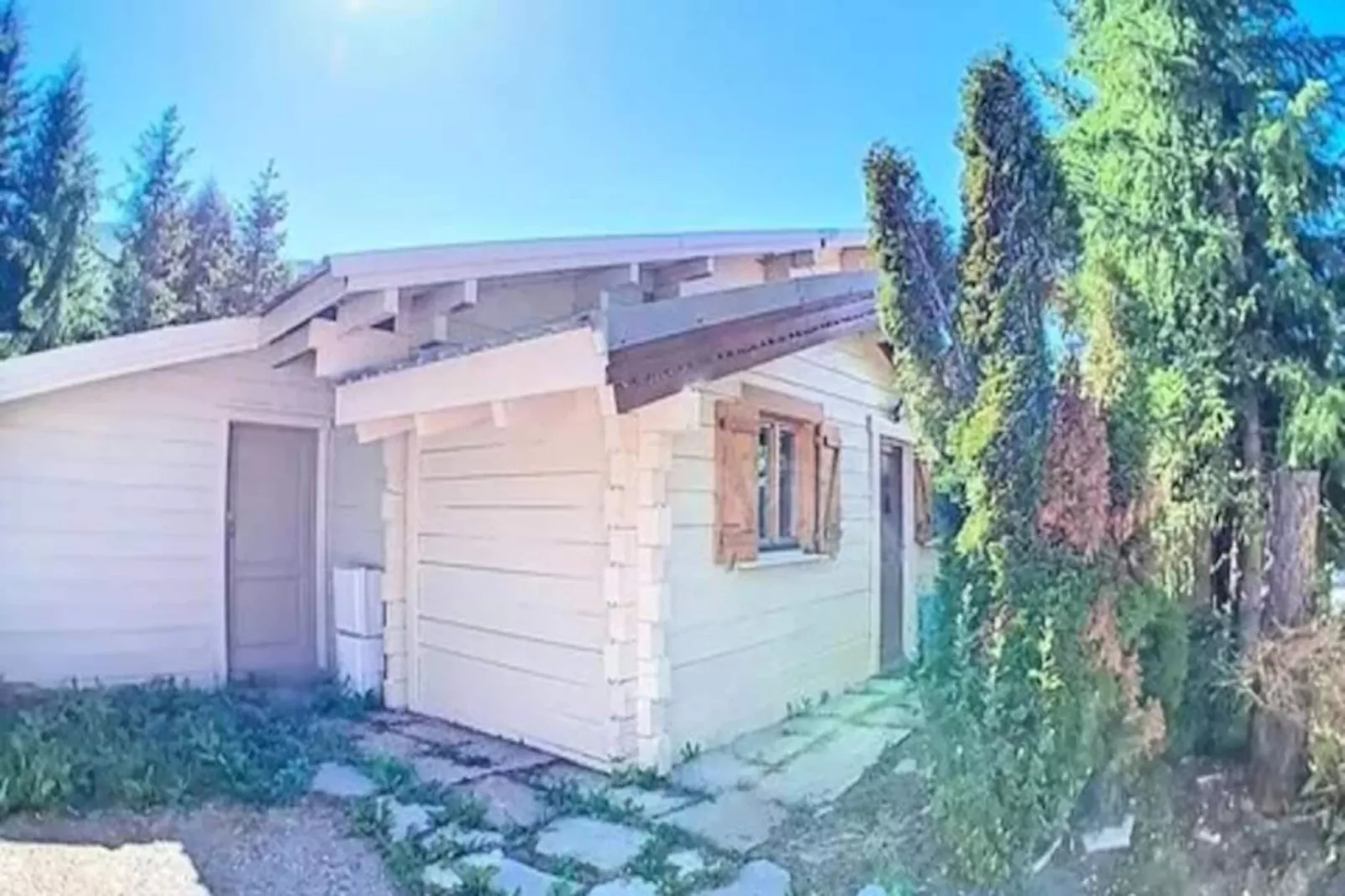 Résidence Ours Brun