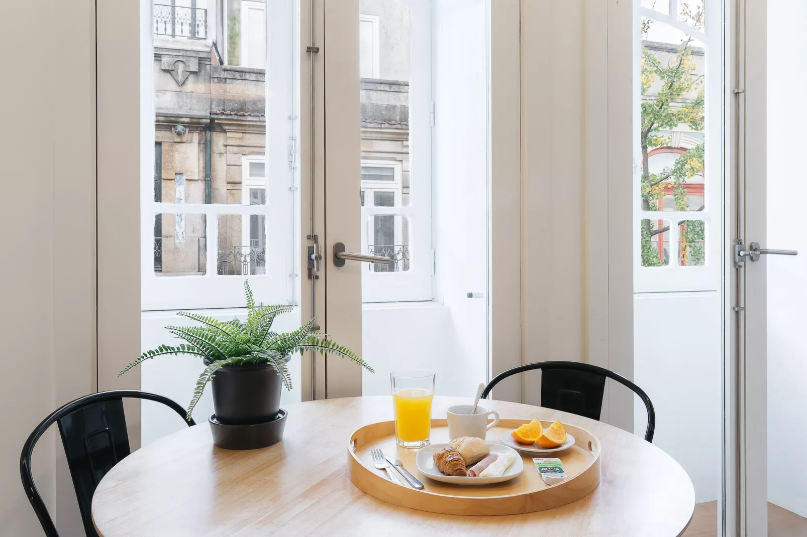 Cotton Cozy Nightlife Studio 101