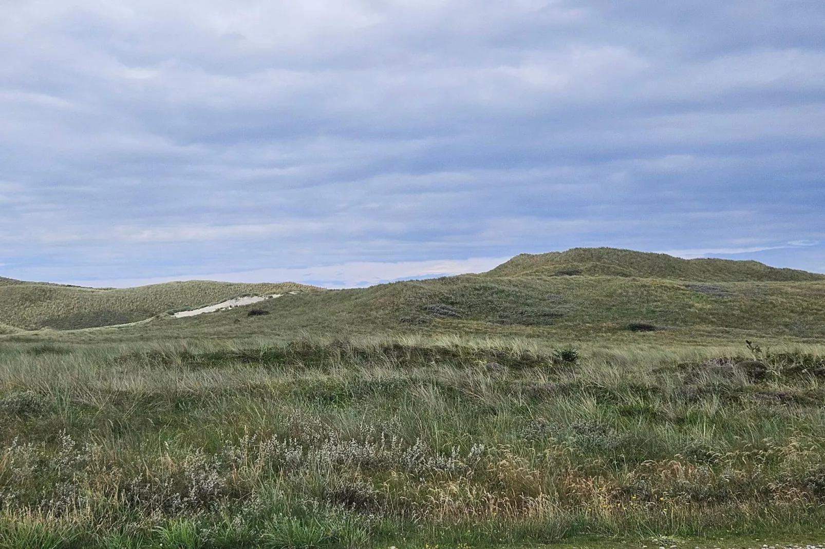 6 persoons vakantie huis in Ulfborg-Niet-getagd