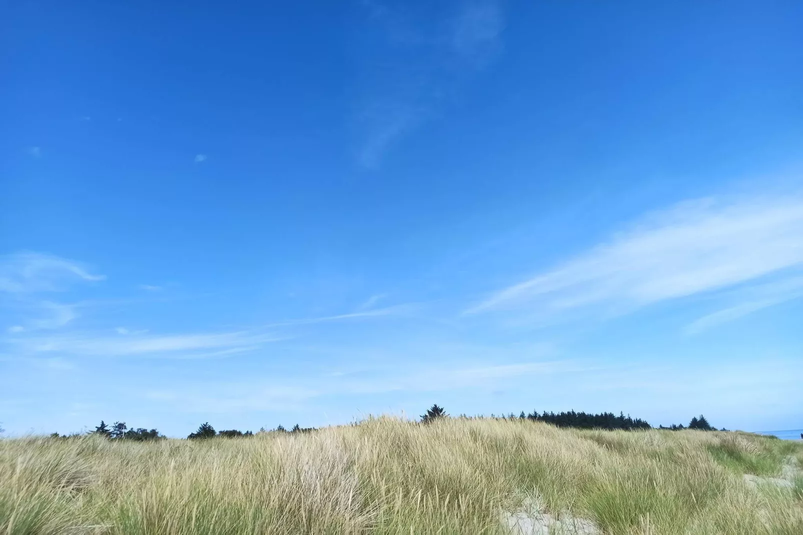 Afgelegen Lagune Toevluchtsoord in Hou-By Traum-Niet-getagd