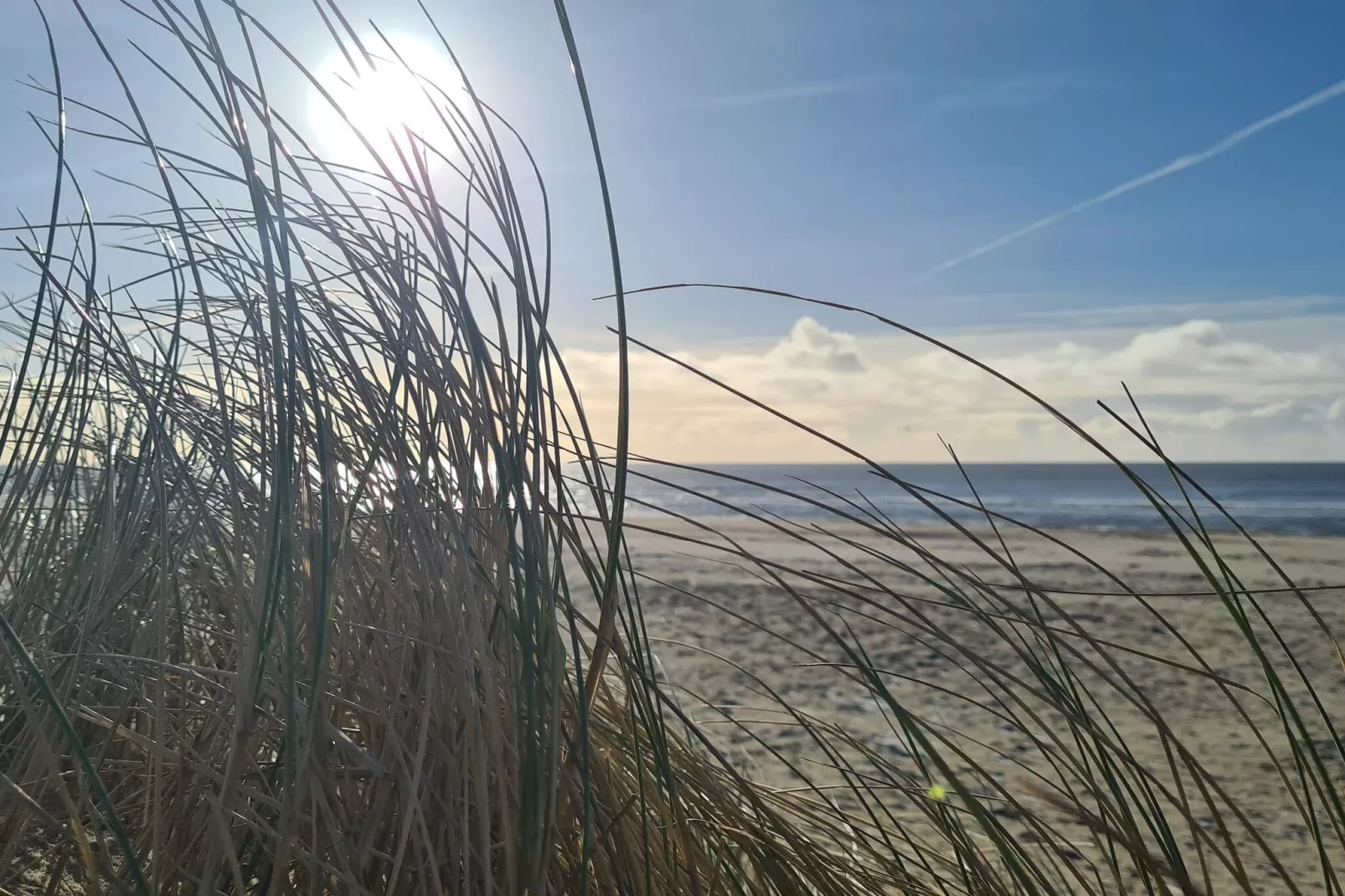 Luxe oase in Blavand-By Traum-Niet-getagd