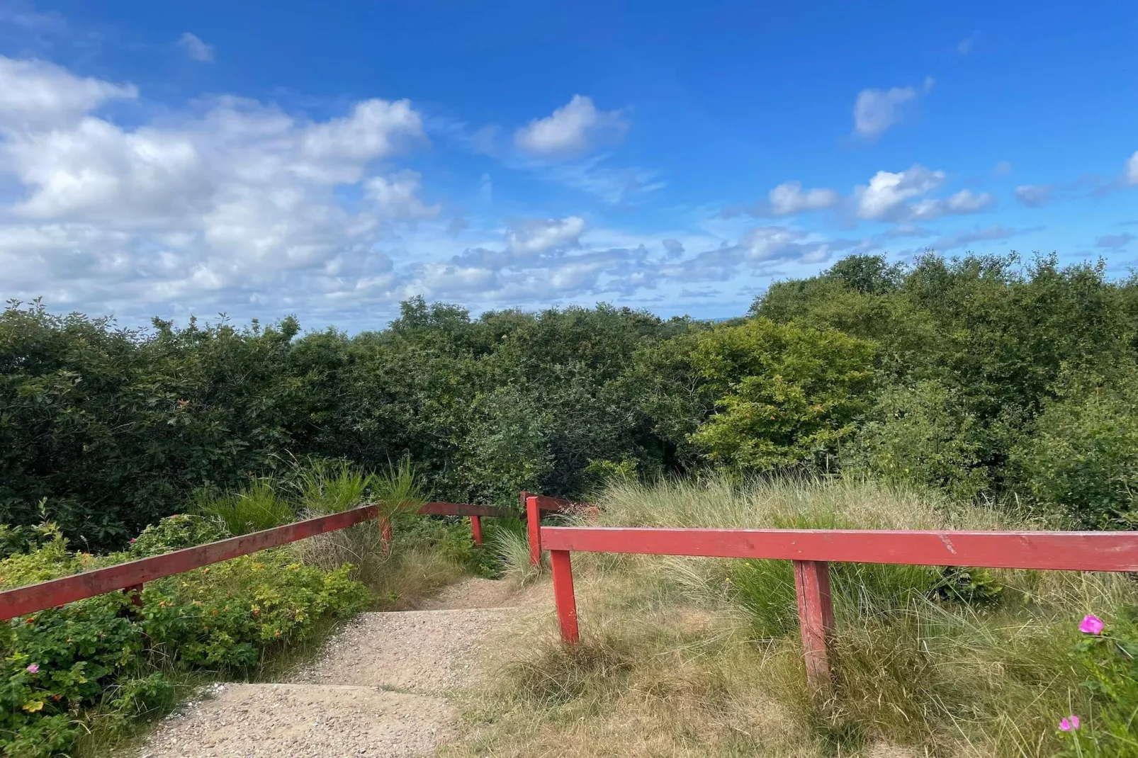 18 persoons vakantie huis in Nørre Nebel-Niet-getagd