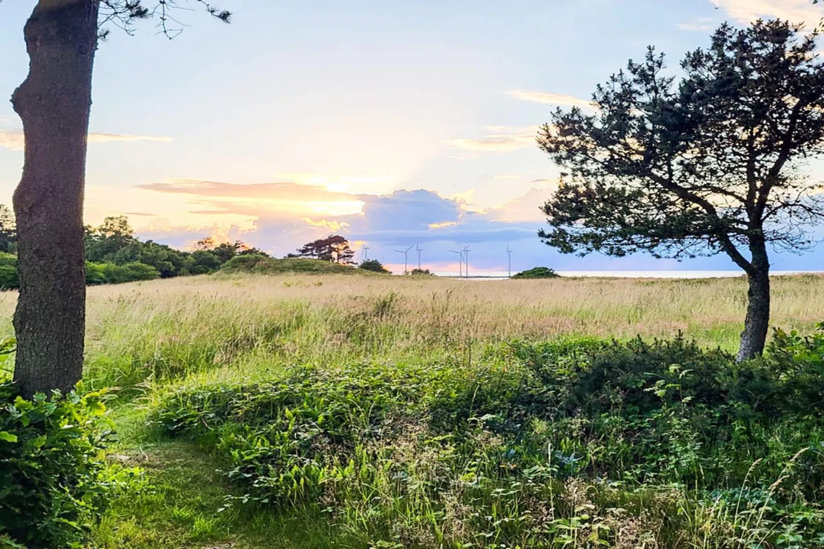 6 persoons vakantie huis in Glesborg-Buitenlucht