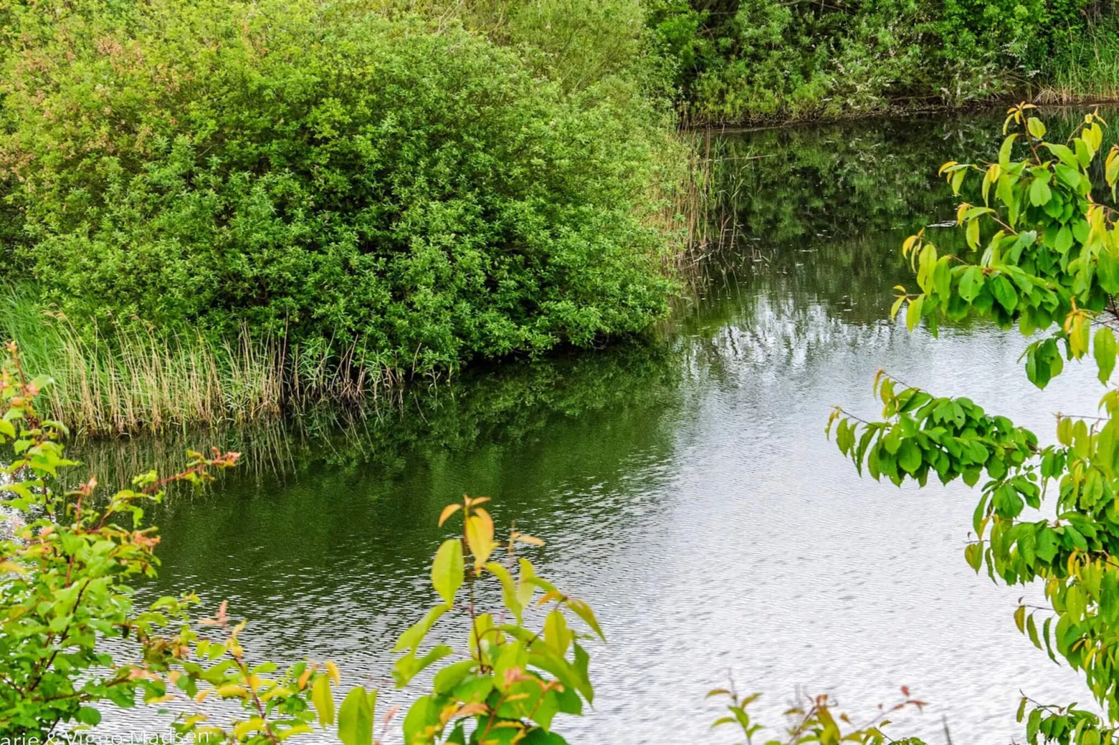 4 persoons vakantie huis in Assens-Waterzicht