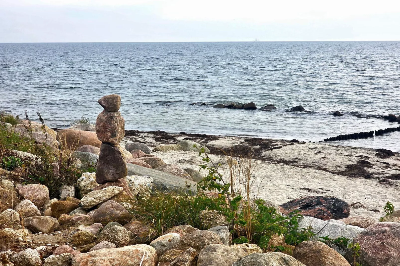 20 persoons vakantie huis in Stege-Waterzicht