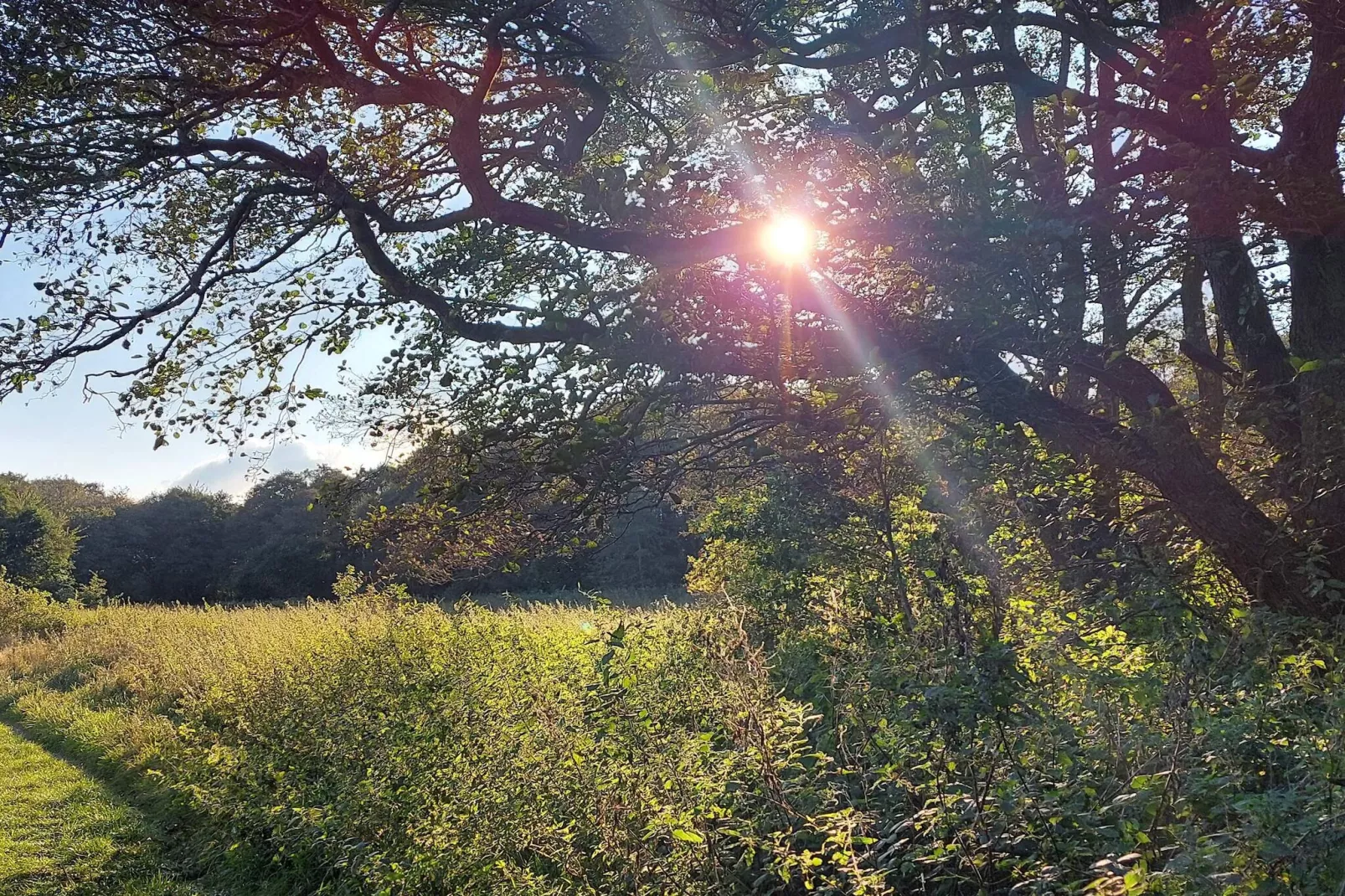 6 persoons vakantie huis in Ebeltoft-Niet-getagd