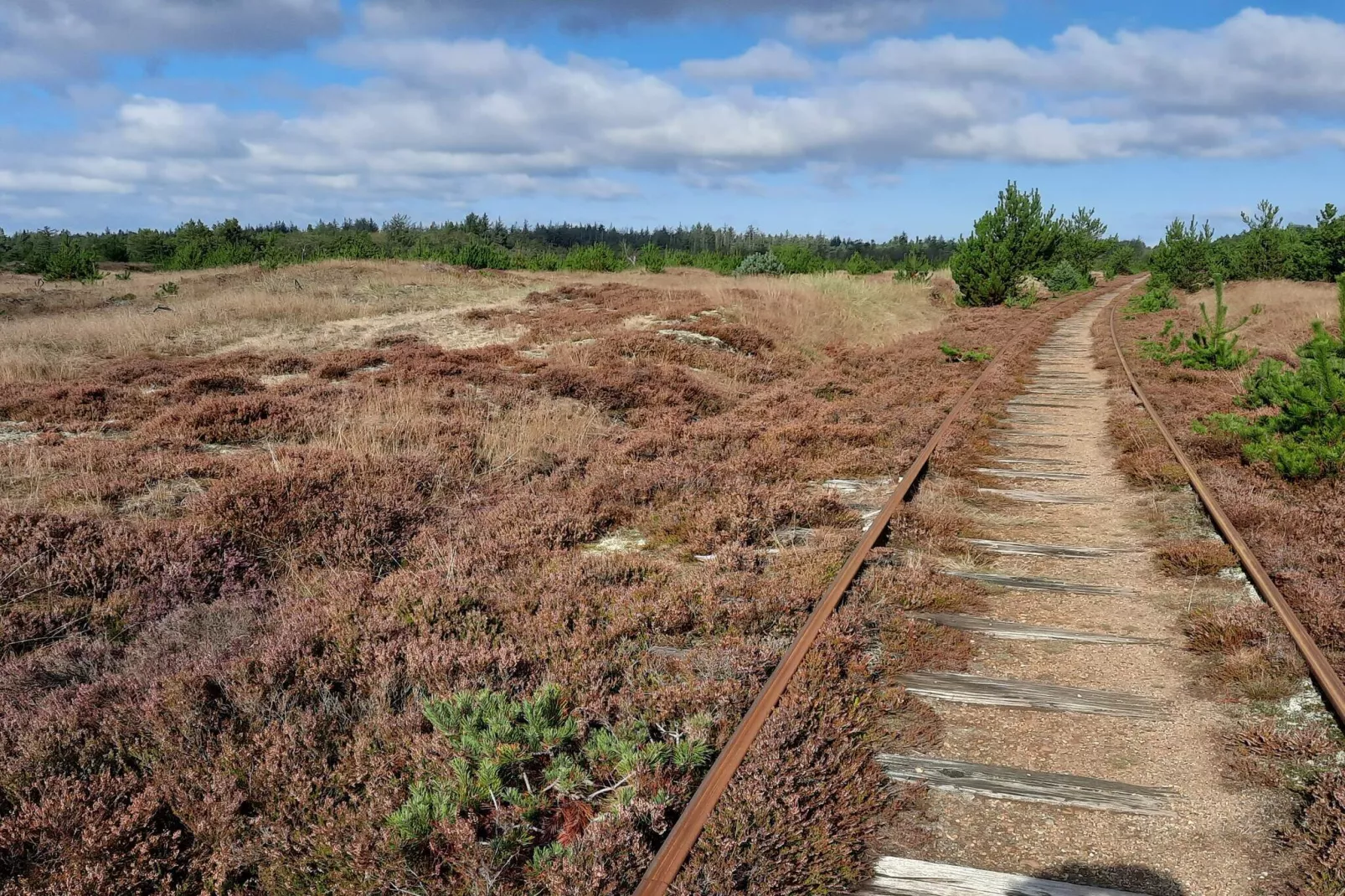 4 persoons vakantie huis in Nørre Nebel-Niet-getagd