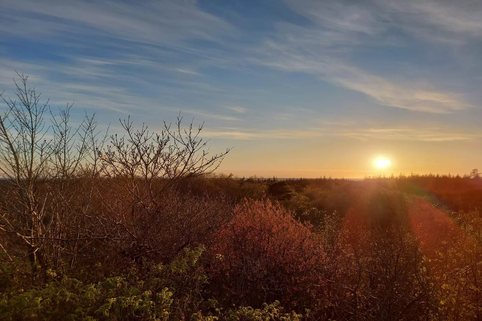 4 persoons vakantie huis in Nørre Nebel-Niet-getagd