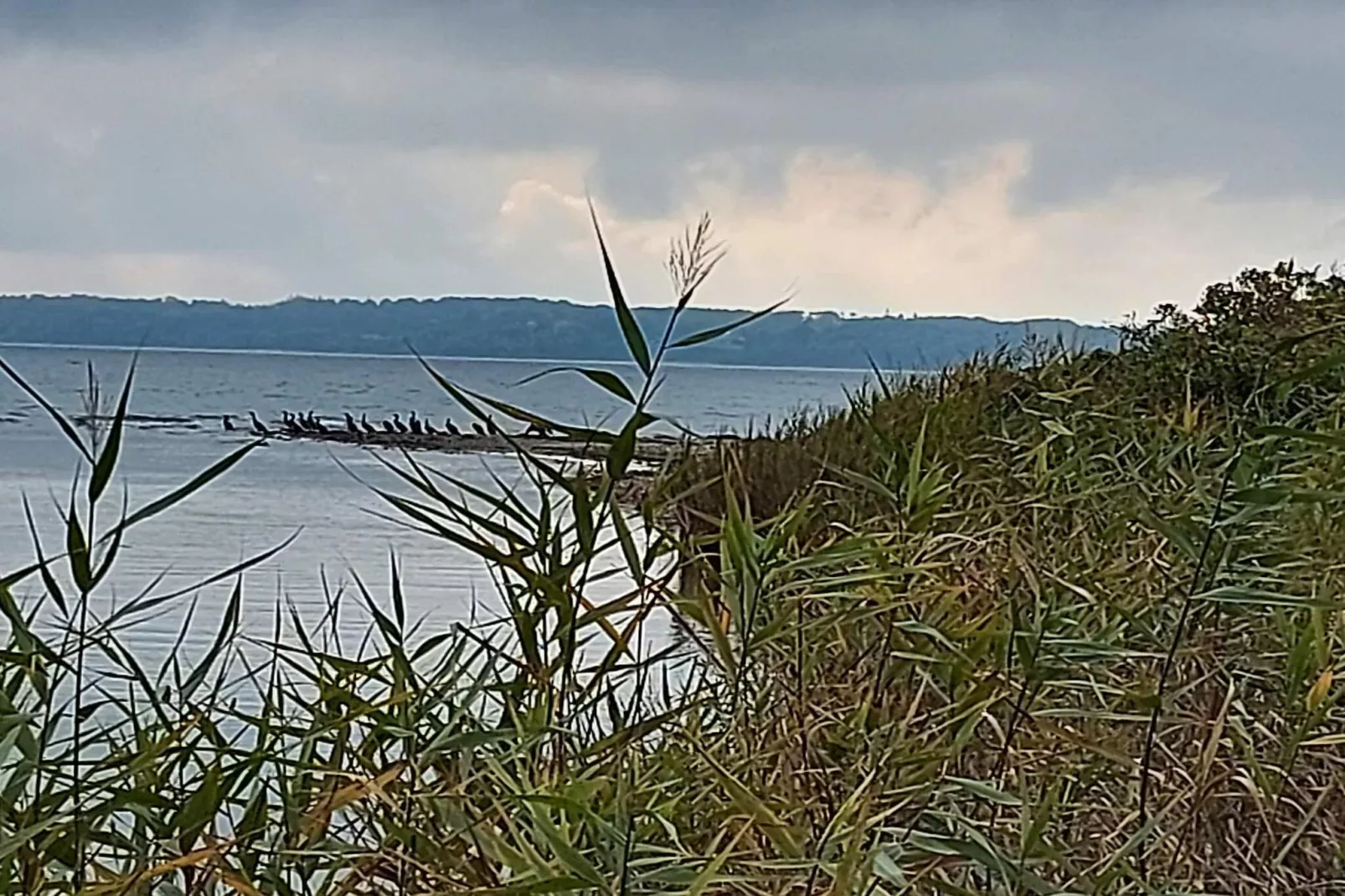 6 persoons vakantie huis in Sjølund-Waterzicht