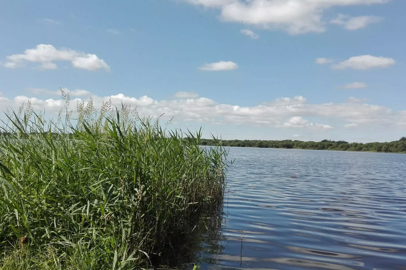 Afgelegen oase bij Kvie-meer-By Traum-Waterzicht