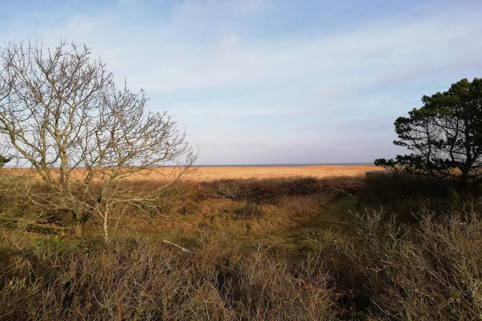 6 persoons vakantie huis in Hvide Sande-Niet-getagd