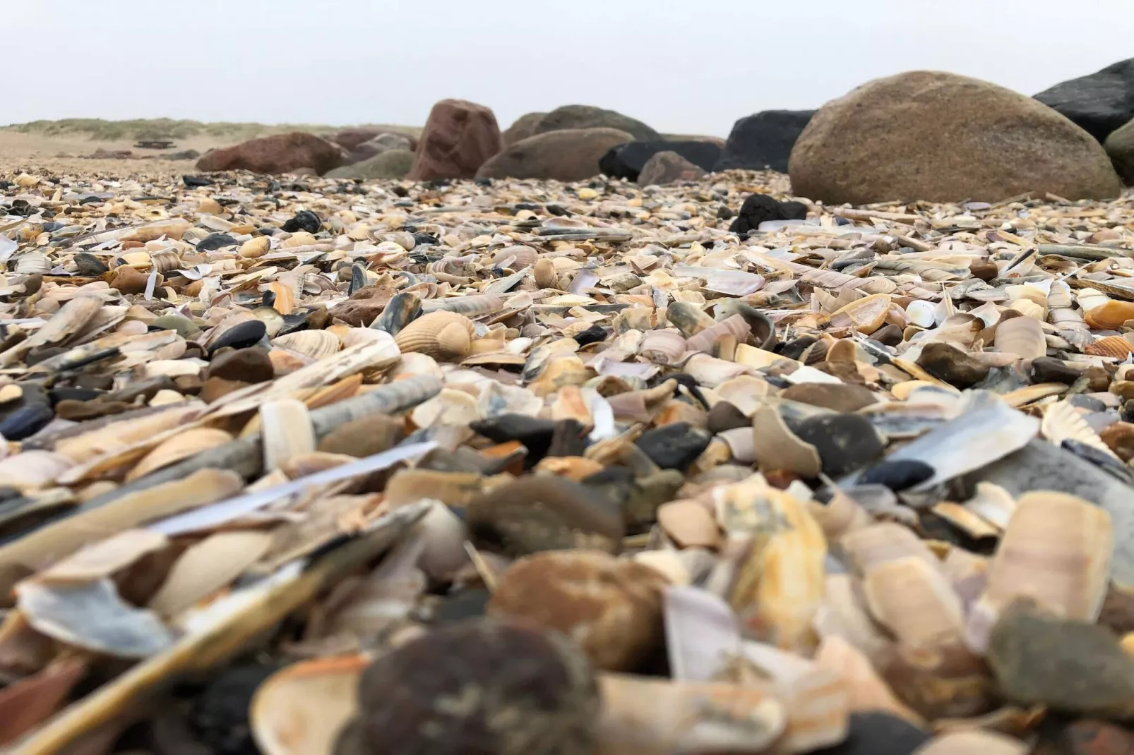 Luxe Strandverblijf in Blavand-By Traum-Niet-getagd