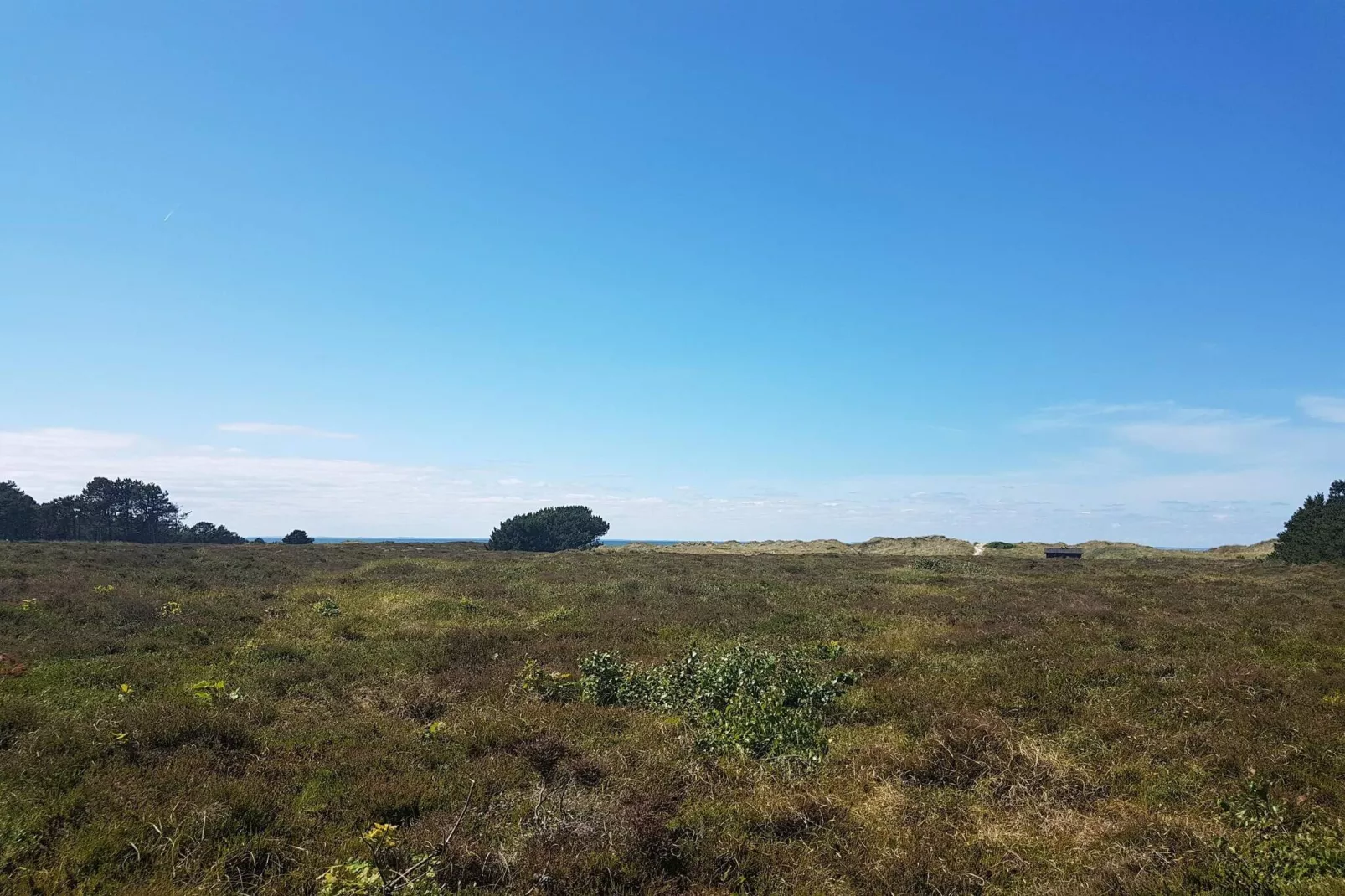 Gezellig eilandtoevluchtsoord in Vestero-By Traum-Niet-getagd