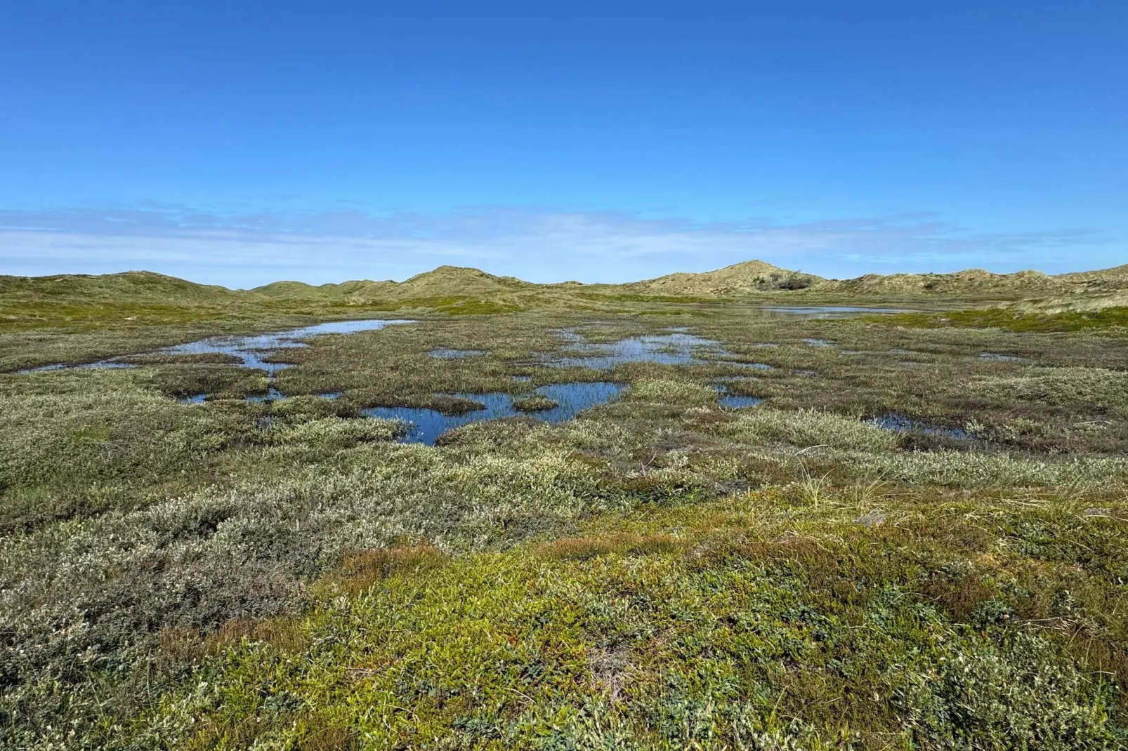 14 persoons vakantie huis in Ulfborg-Waterzicht