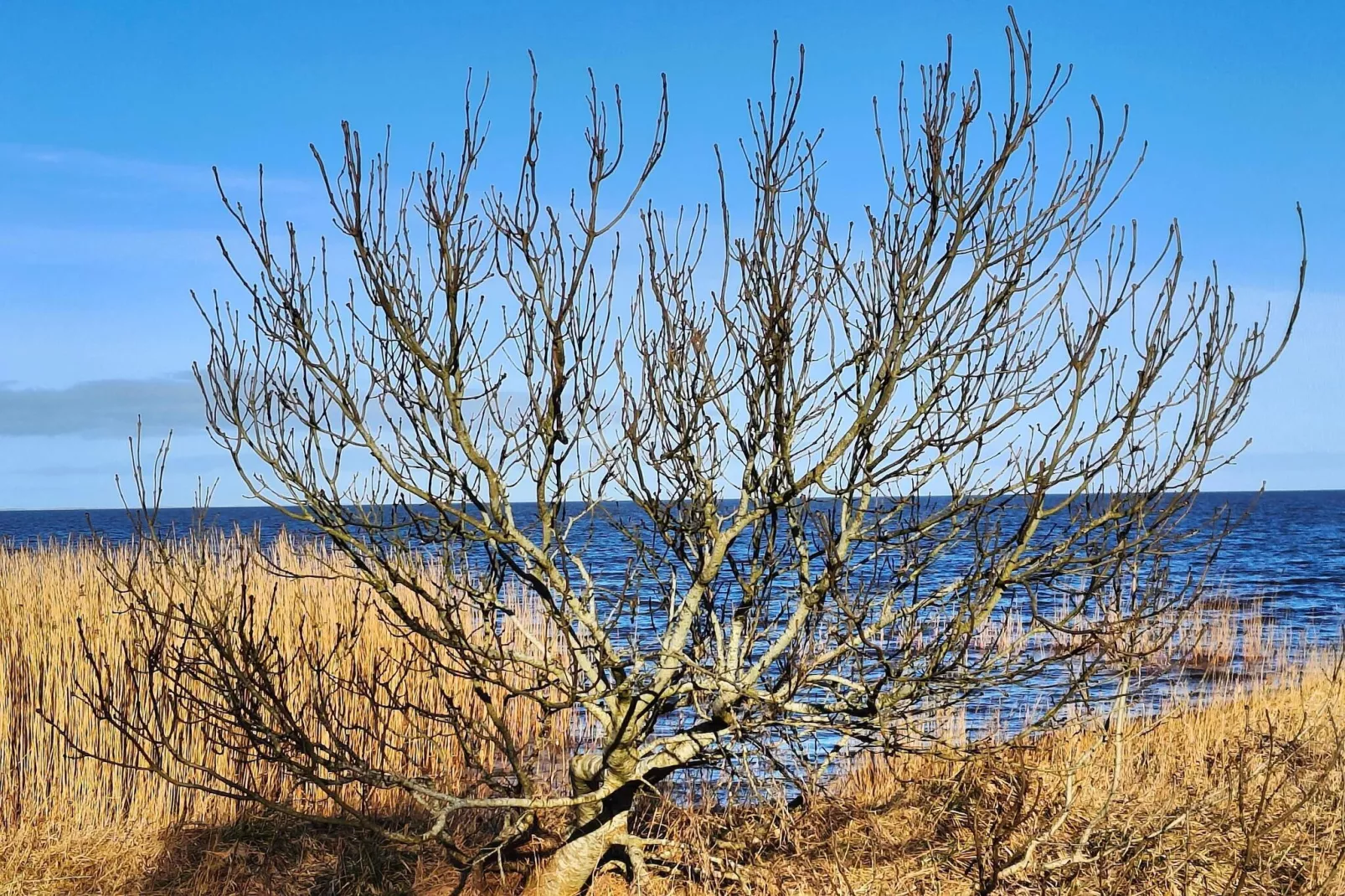 Afgelegen Gezellige Huisje in Skaven-By Traum-Waterzicht