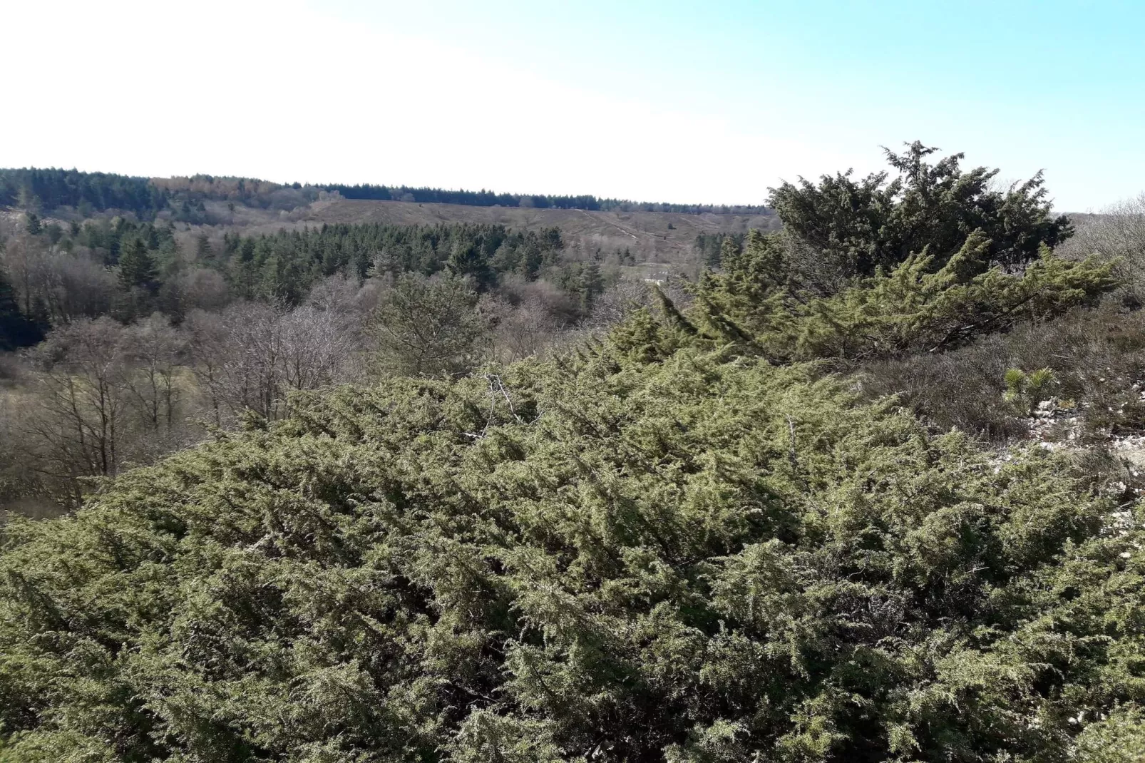 Lichte Cottage-oase in Silkeborg-By Traum-Niet-getagd