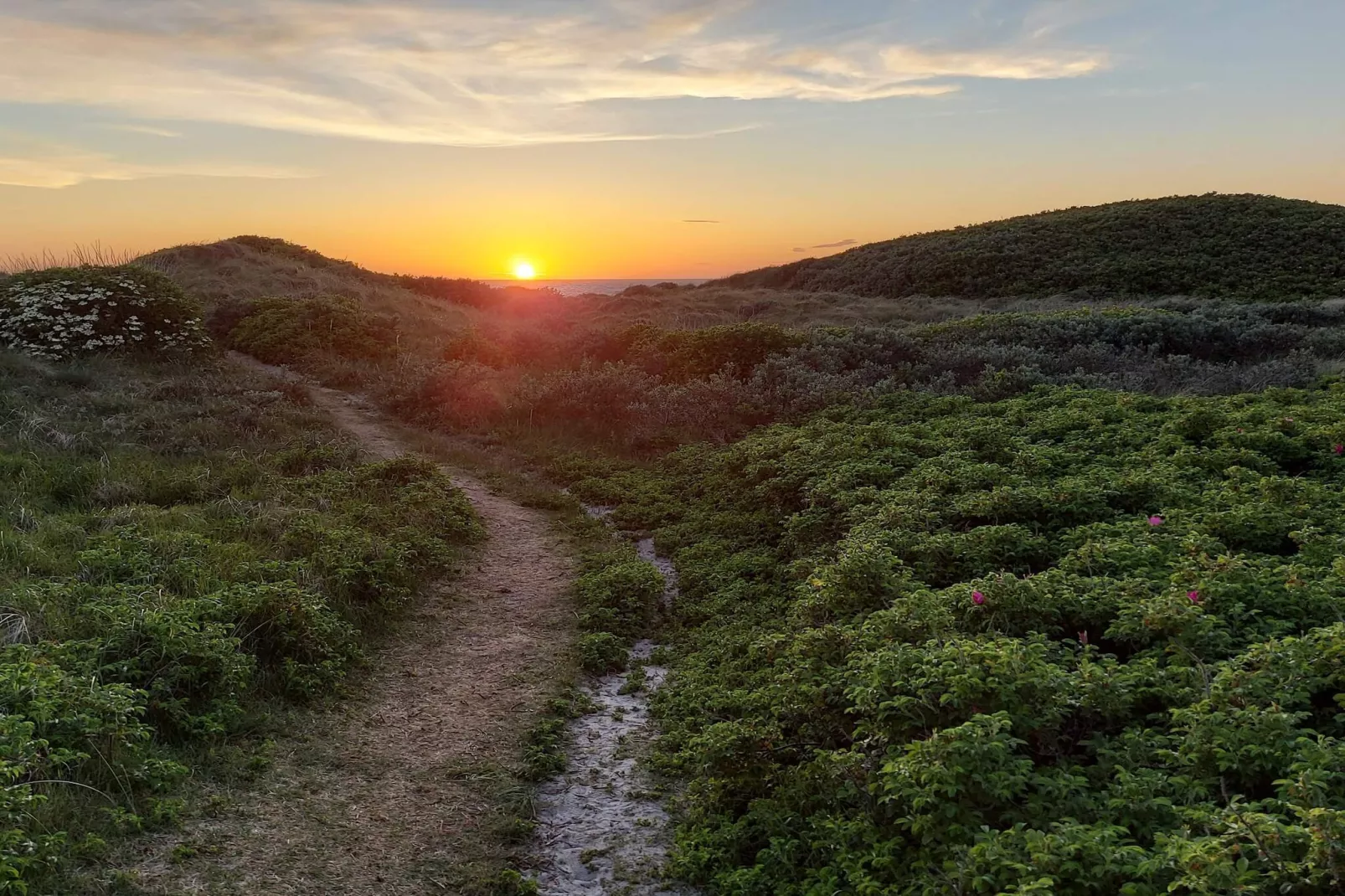Lichte kusttoevlucht in Vorupor-By Traum-Niet-getagd