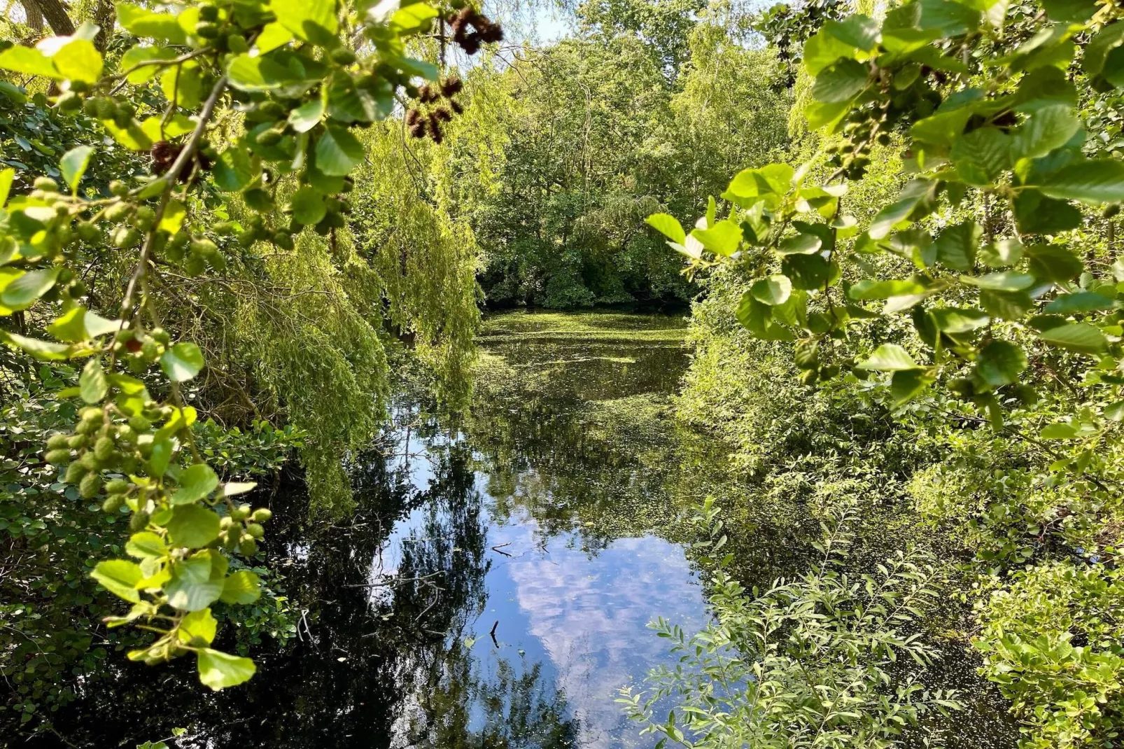 22 persoons vakantie huis in Væggerløse-Waterzicht