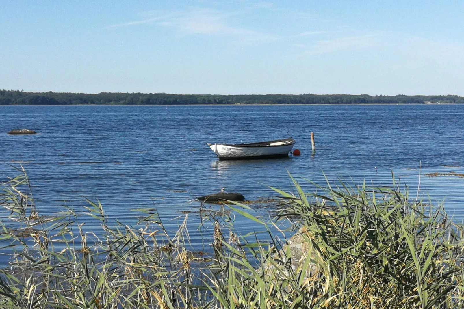 5 persoons vakantie huis in Bogø By-Waterzicht