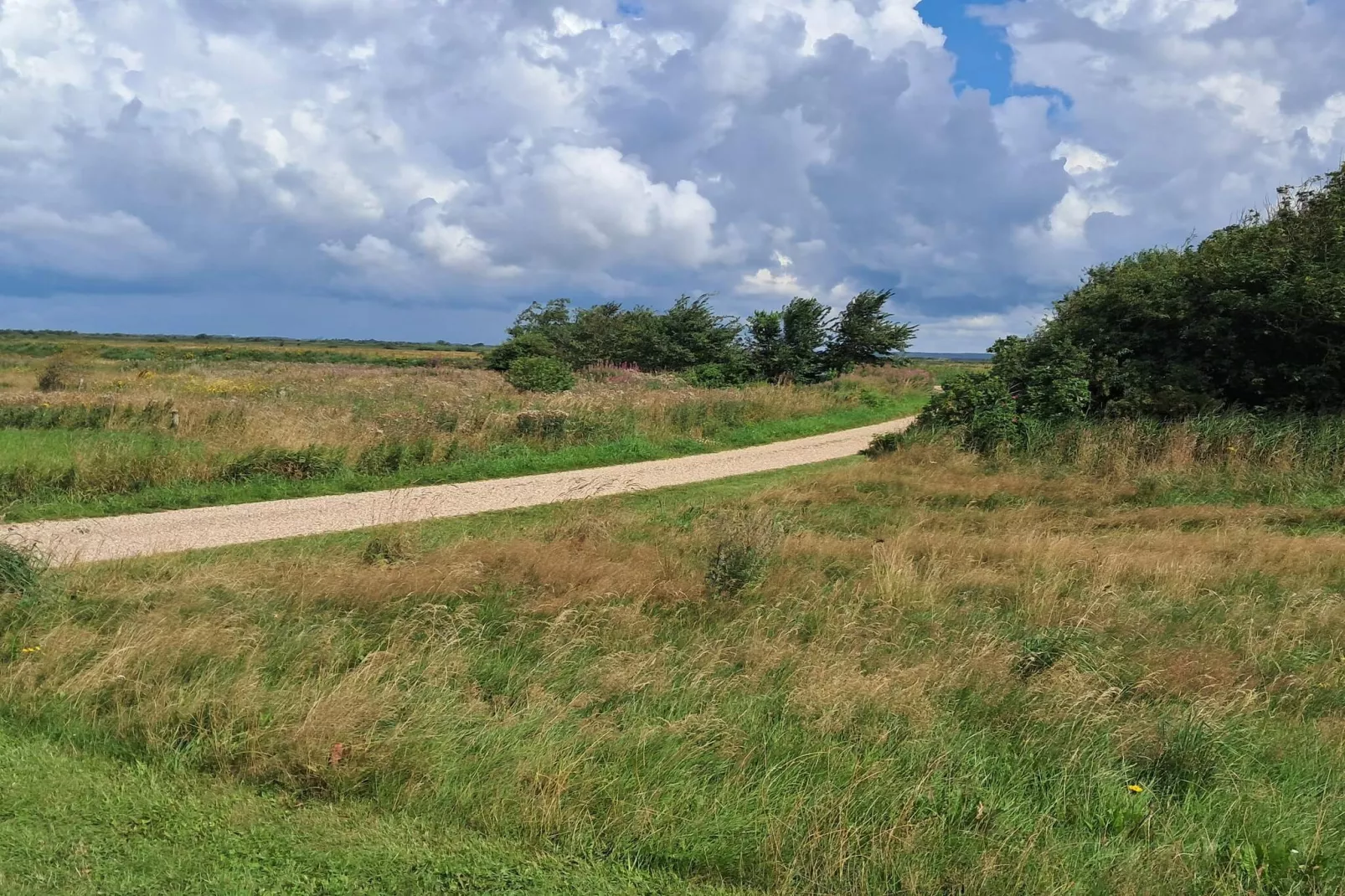 8 persoons vakantie huis in Hemmet-Buitenlucht