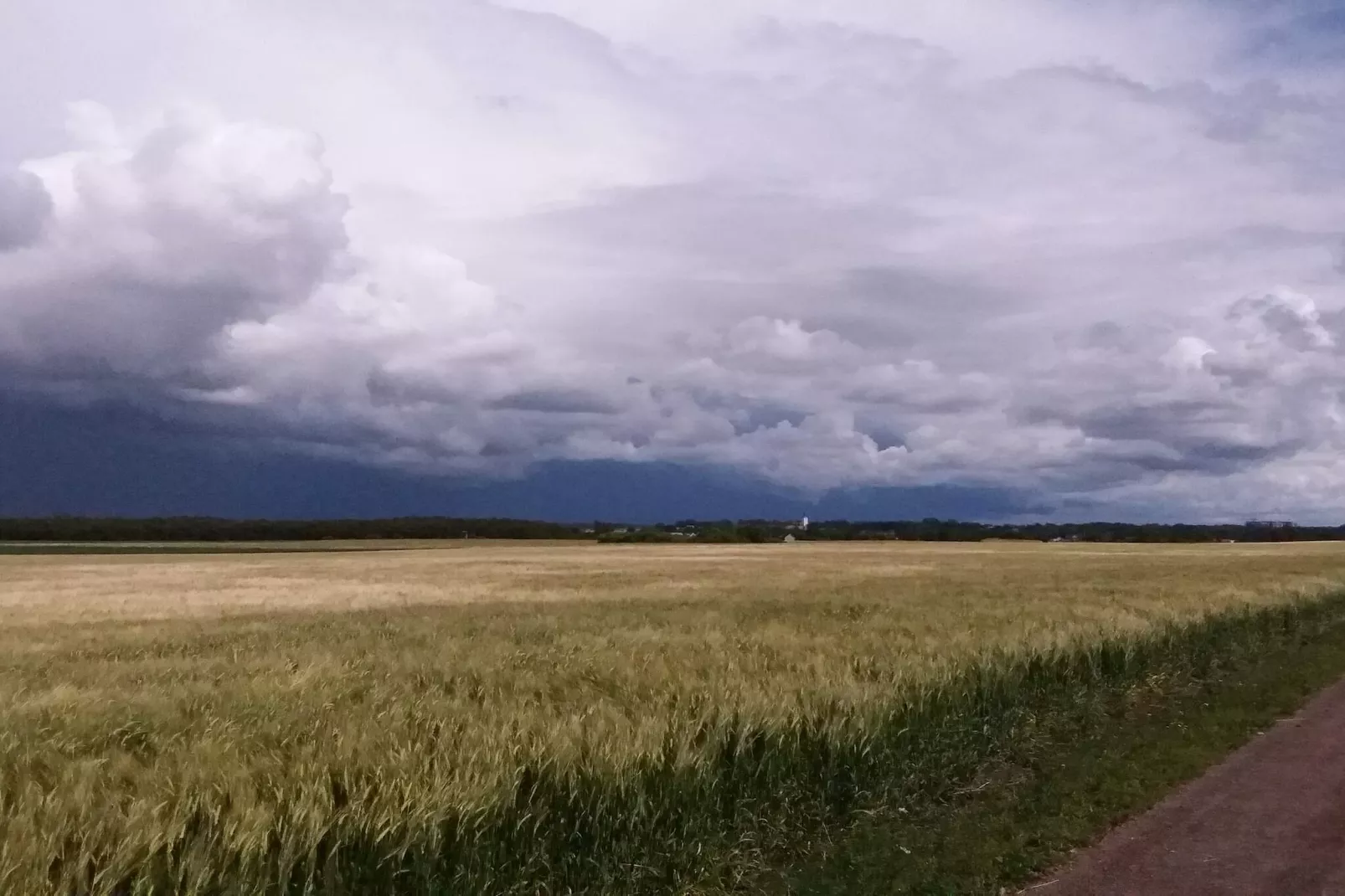 3 persoons vakantie huis in FALKENBERG-By Traum-Niet-getagd