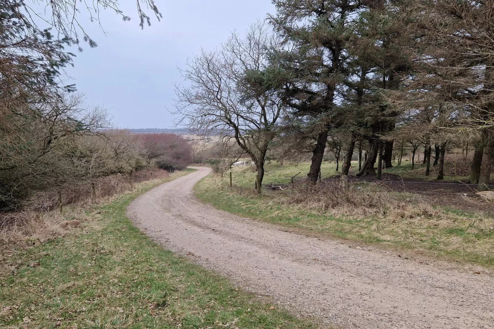 8 persoons vakantie huis in Spøttrup-By Traum-Niet-getagd