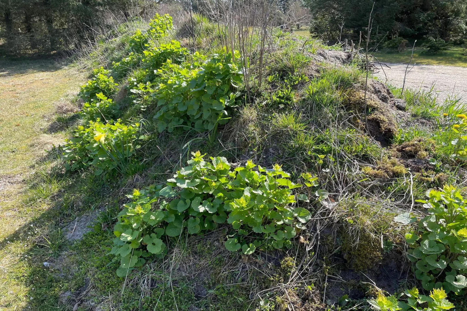 6 persoons vakantie huis in Pandrup-By Traum-Niet-getagd