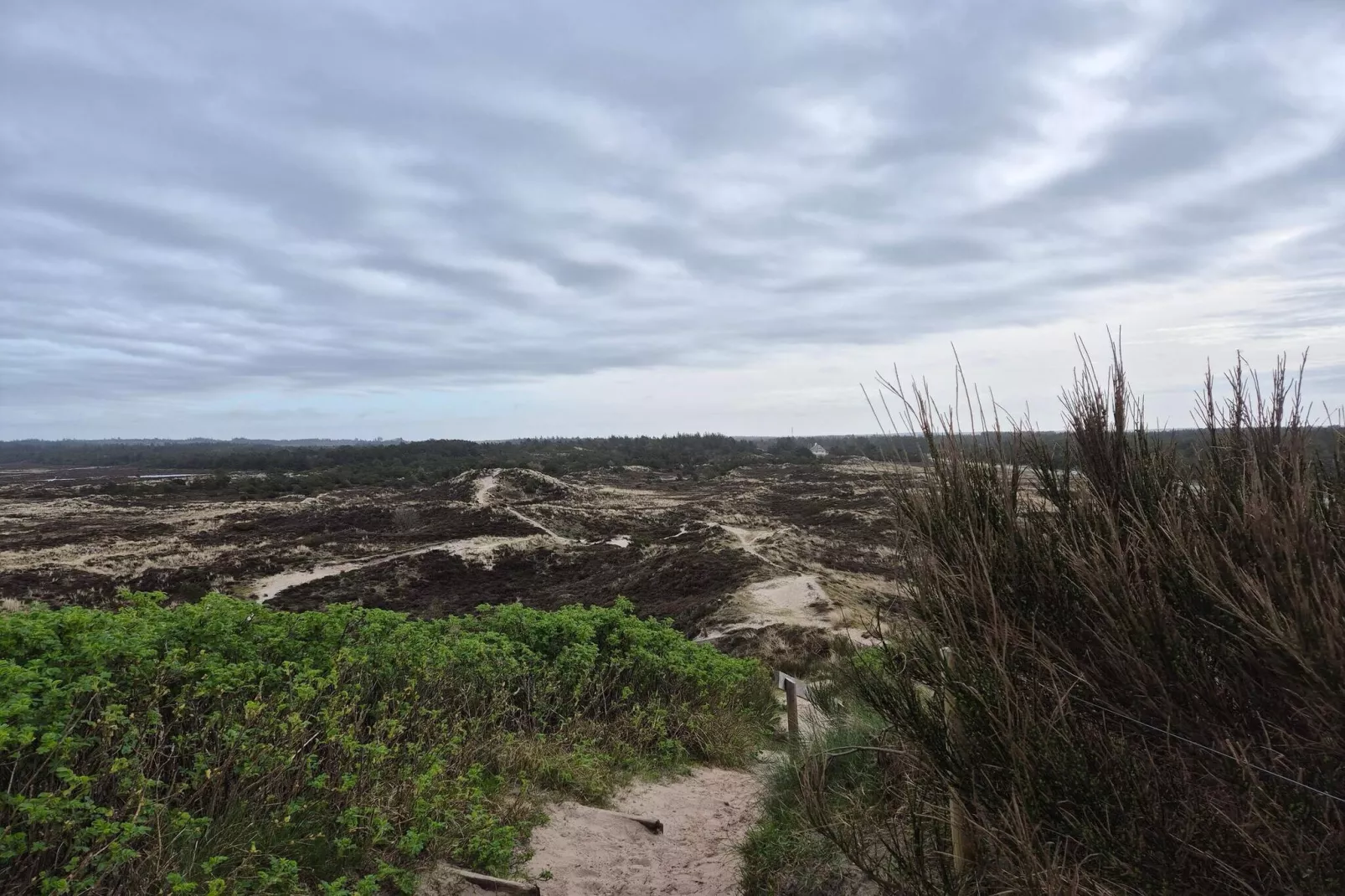8 persoons vakantie huis in Nørre Nebel-Niet-getagd