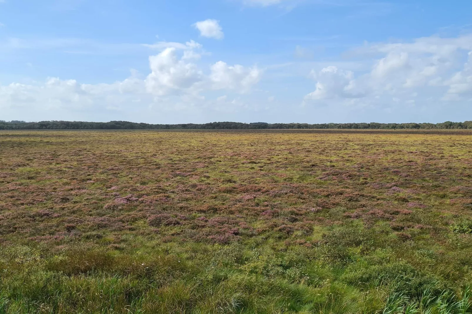 Rustiek huisje met open haard-Niet-getagd