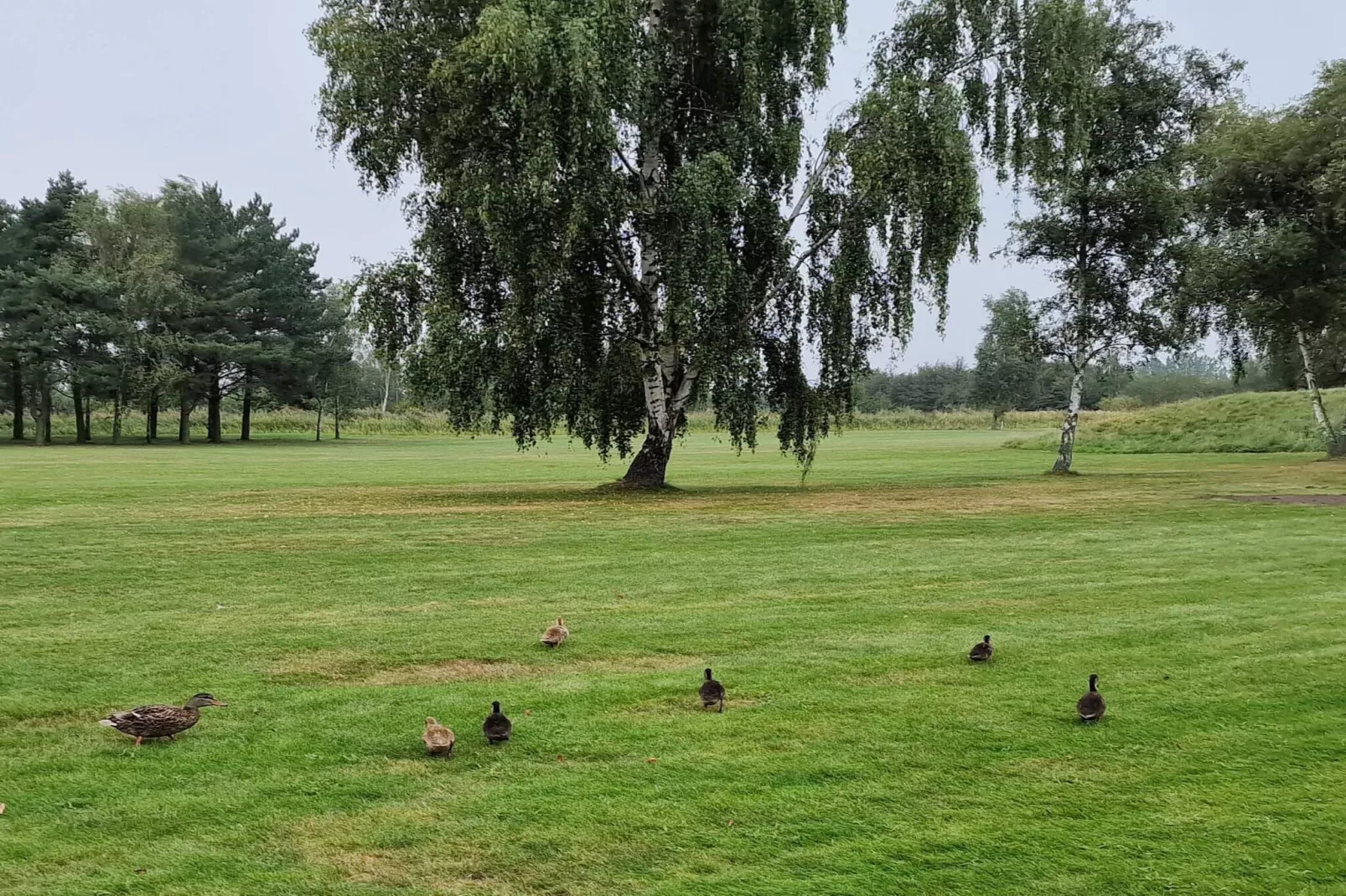 6 persoons vakantie huis in Idestrup-By Traum-Niet-getagd