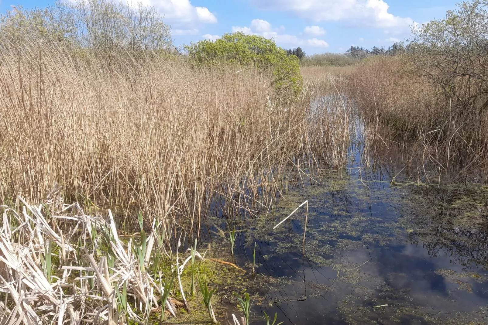 6 persoons vakantie huis in Vesløs-By Traum-Waterzicht