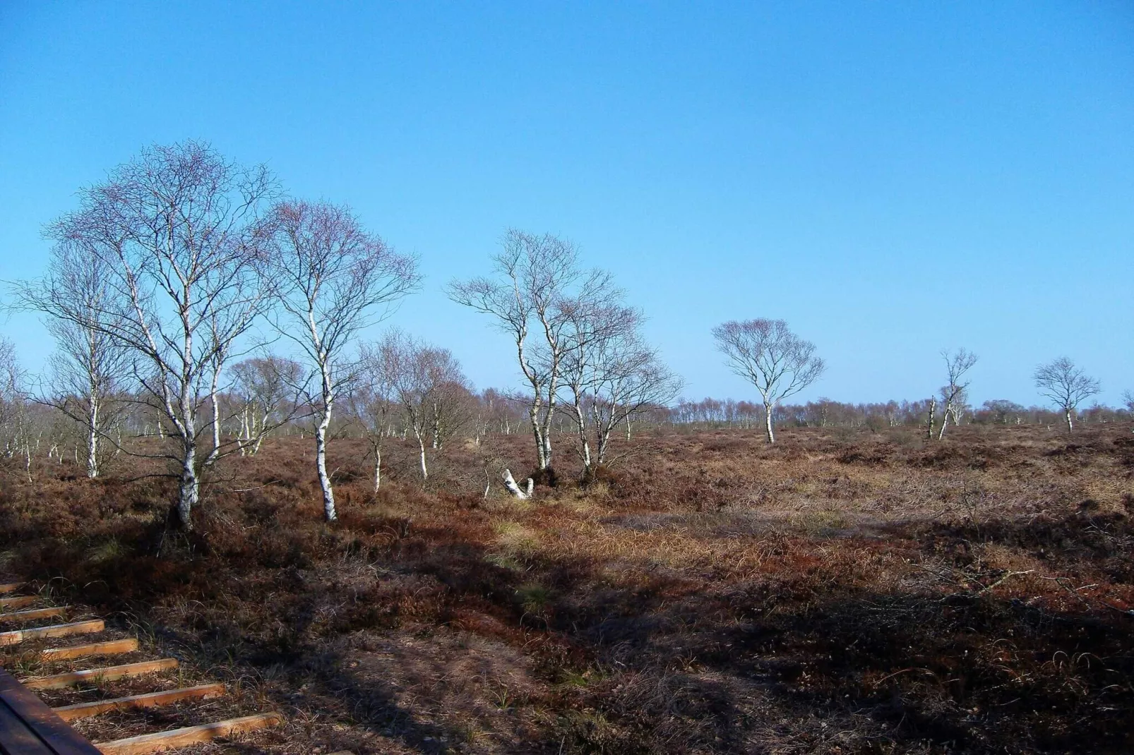 6 persoons vakantie huis in Storvorde-By Traum-Niet-getagd