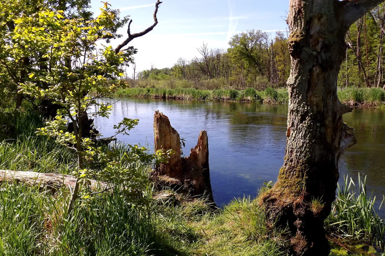 10 persoons vakantie huis in Fårvang-By Traum-Waterzicht