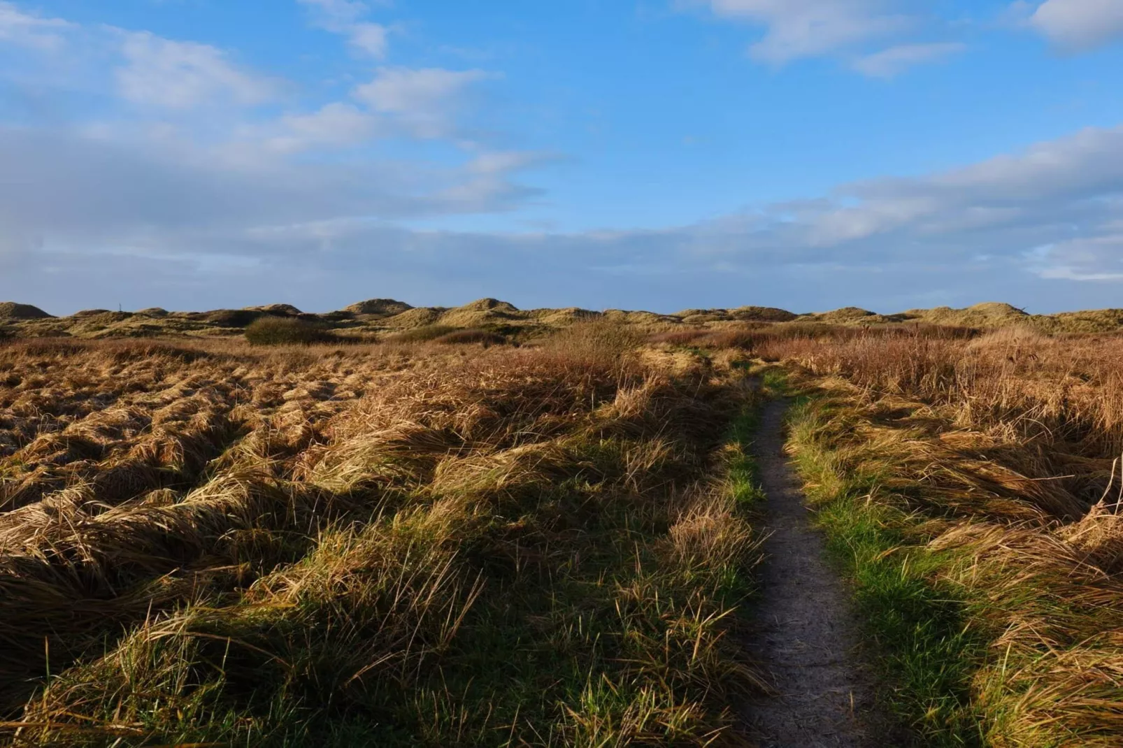 9 persoons vakantie huis in Blokhus-By Traum-Niet-getagd