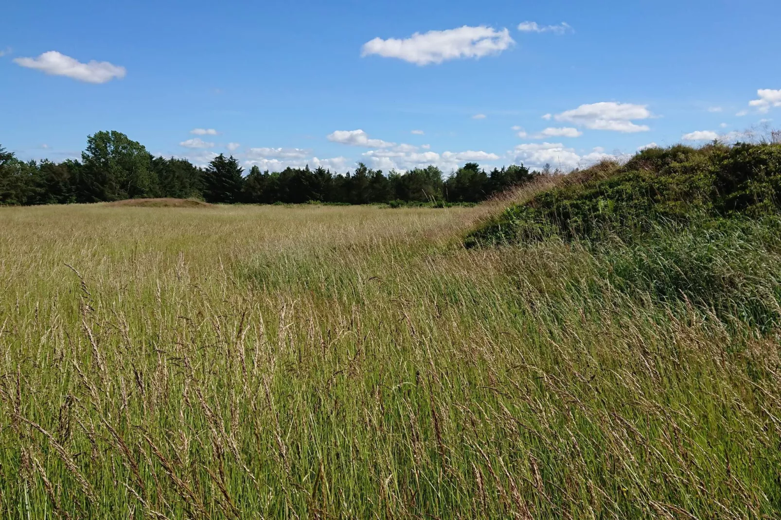 6 persoons vakantie huis in Højslev-By Traum-Niet-getagd