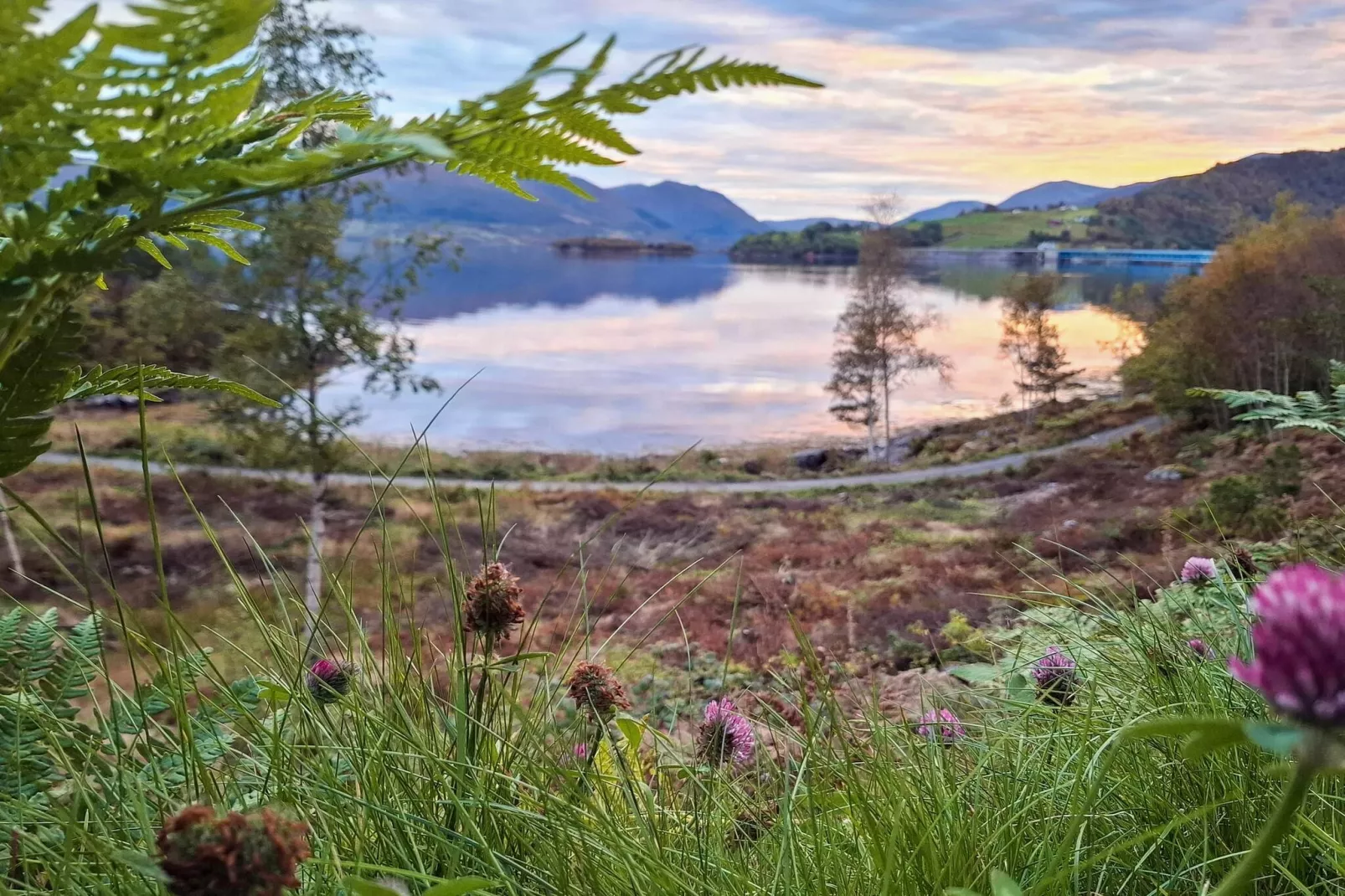 FJORDGLØTT-Buitenlucht