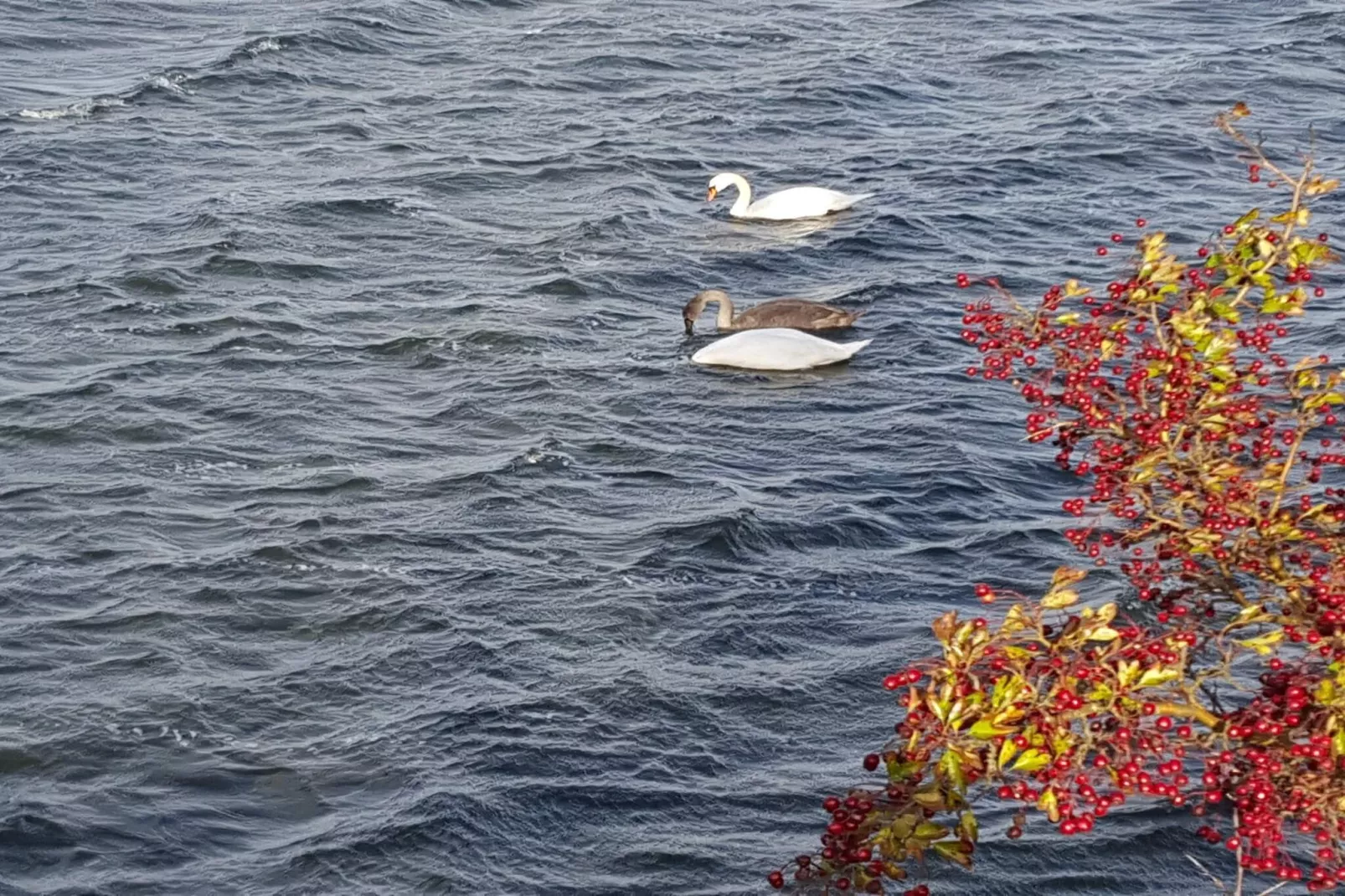 7 persoons vakantie huis in Stege-By Traum-Waterzicht