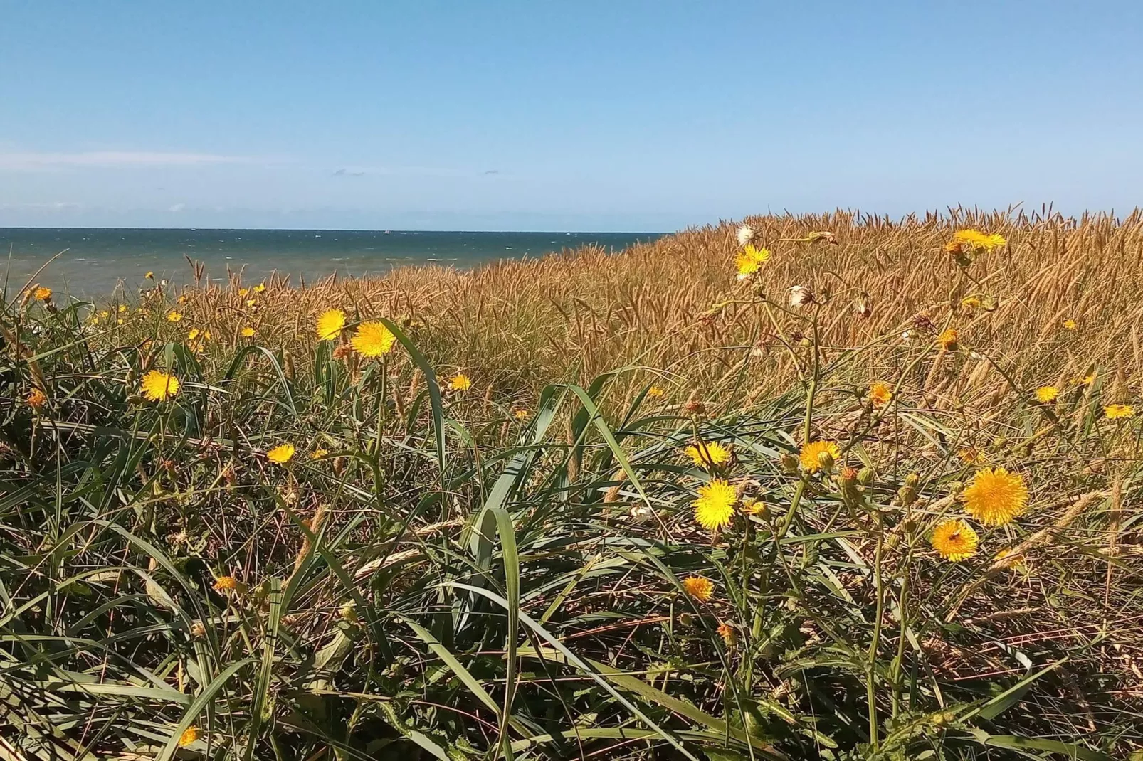 Luxe zwembad retraite bij zee -- By Traum Ferienwohnungen-Niet-getagd