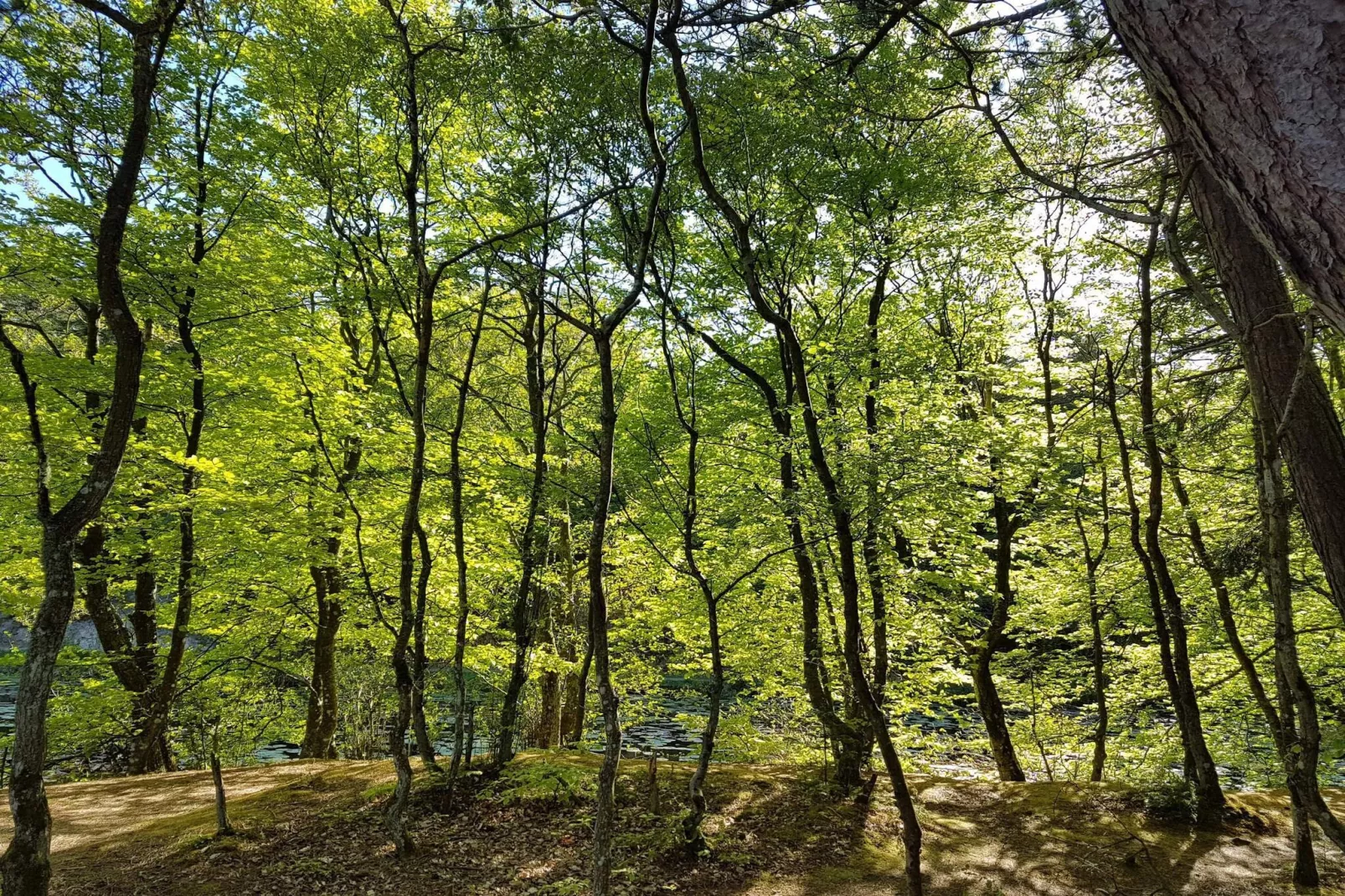 Gezinsuitje in Lodskovvad -- By Traum Ferienwohnungen-Buitenlucht