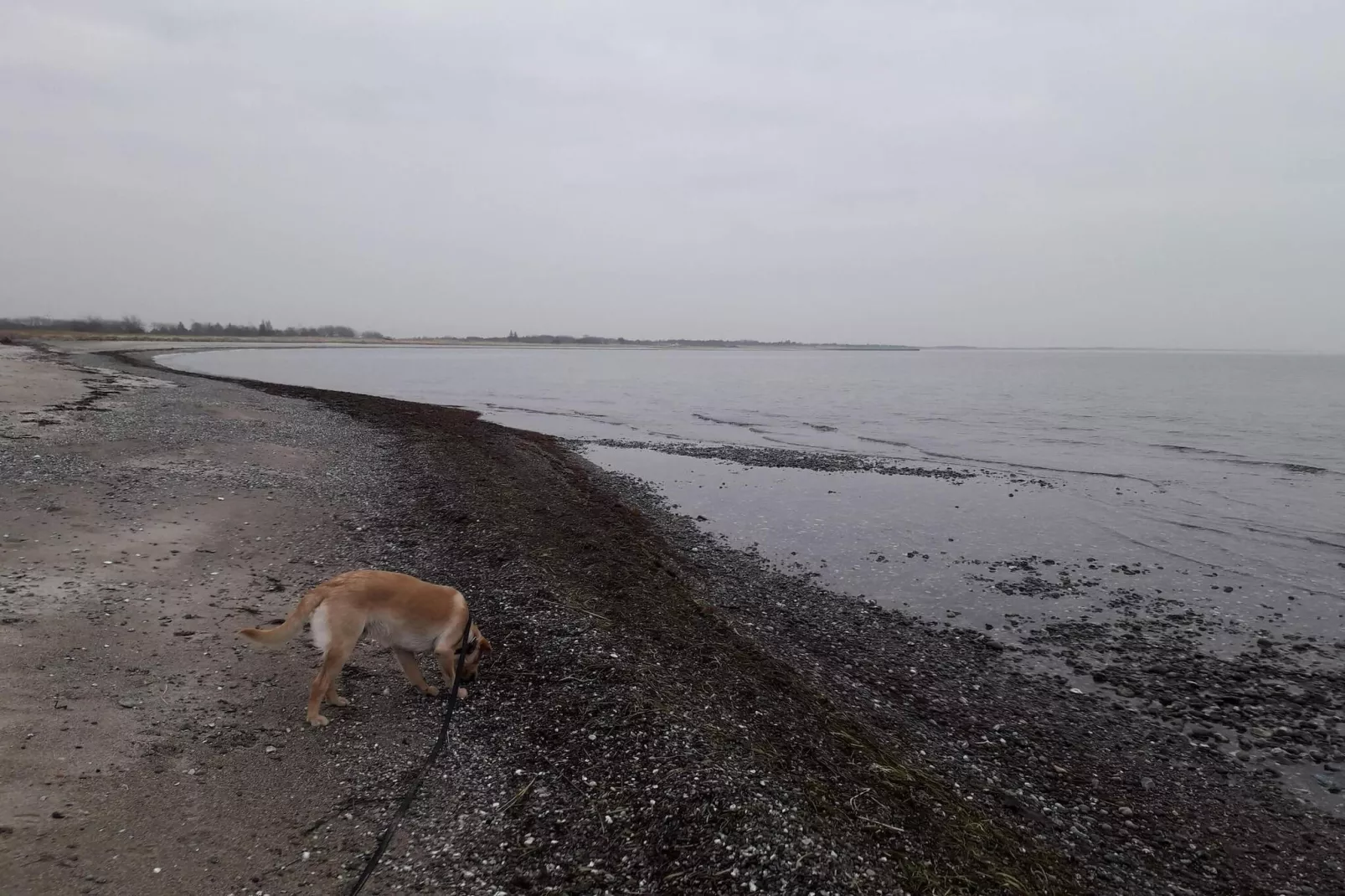 Gezinsparadijs in Kramnitze -- By Traum Ferienwohnungen-Waterzicht