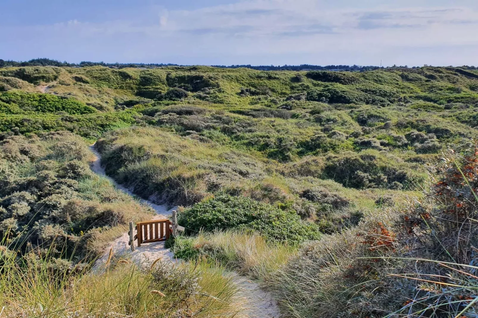 Kusthaven Toevluchtsoord -- By Traum Ferienwohnungen-Niet-getagd