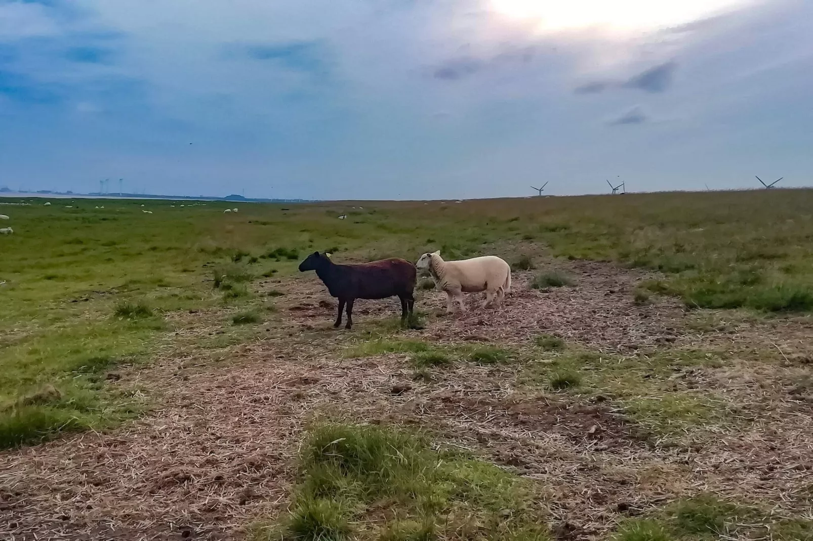 4 persoons vakantie huis in Bramming-By Traum-Niet-getagd