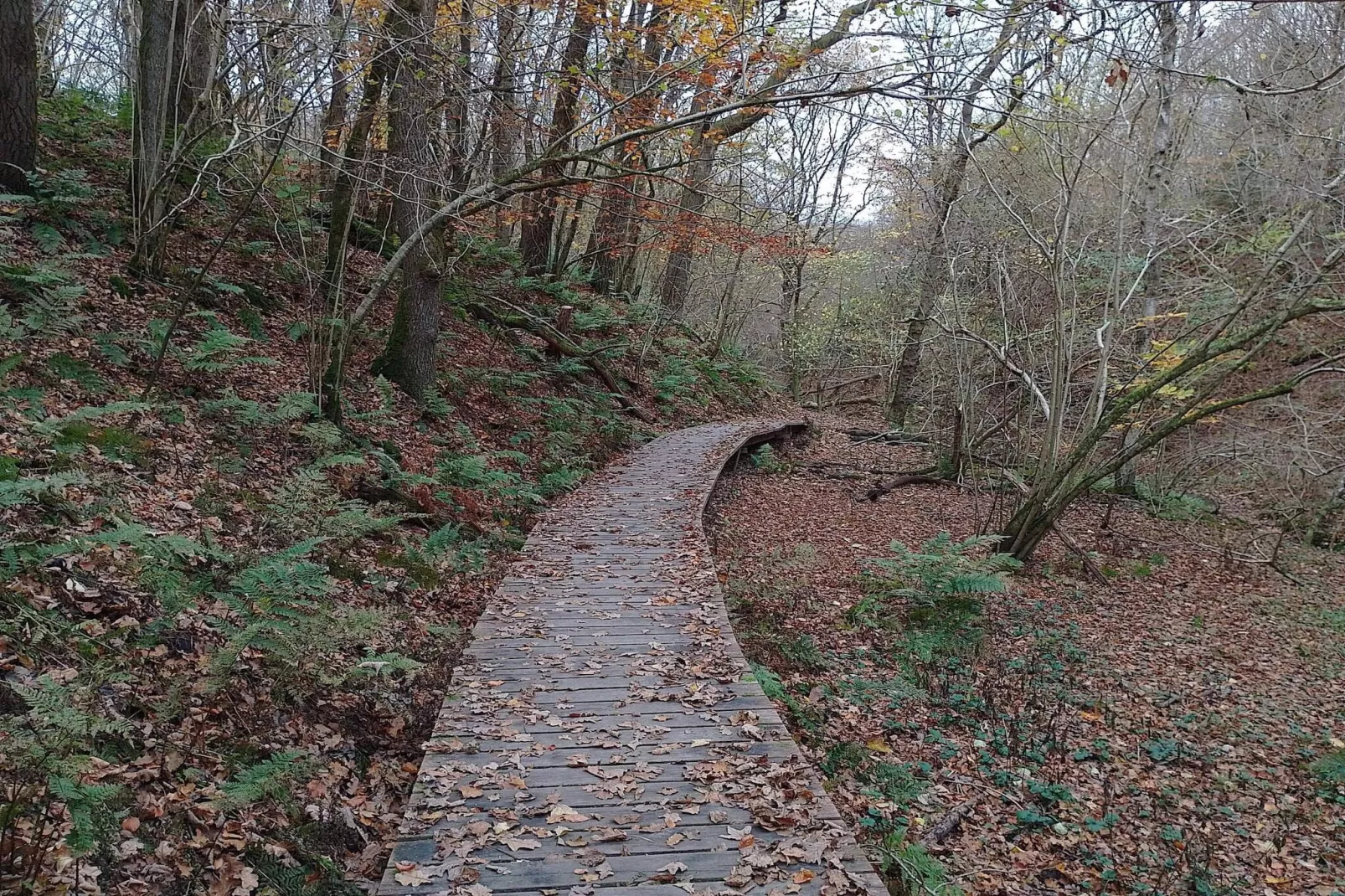 16 persoons vakantie huis in Brovst-By Traum-Niet-getagd