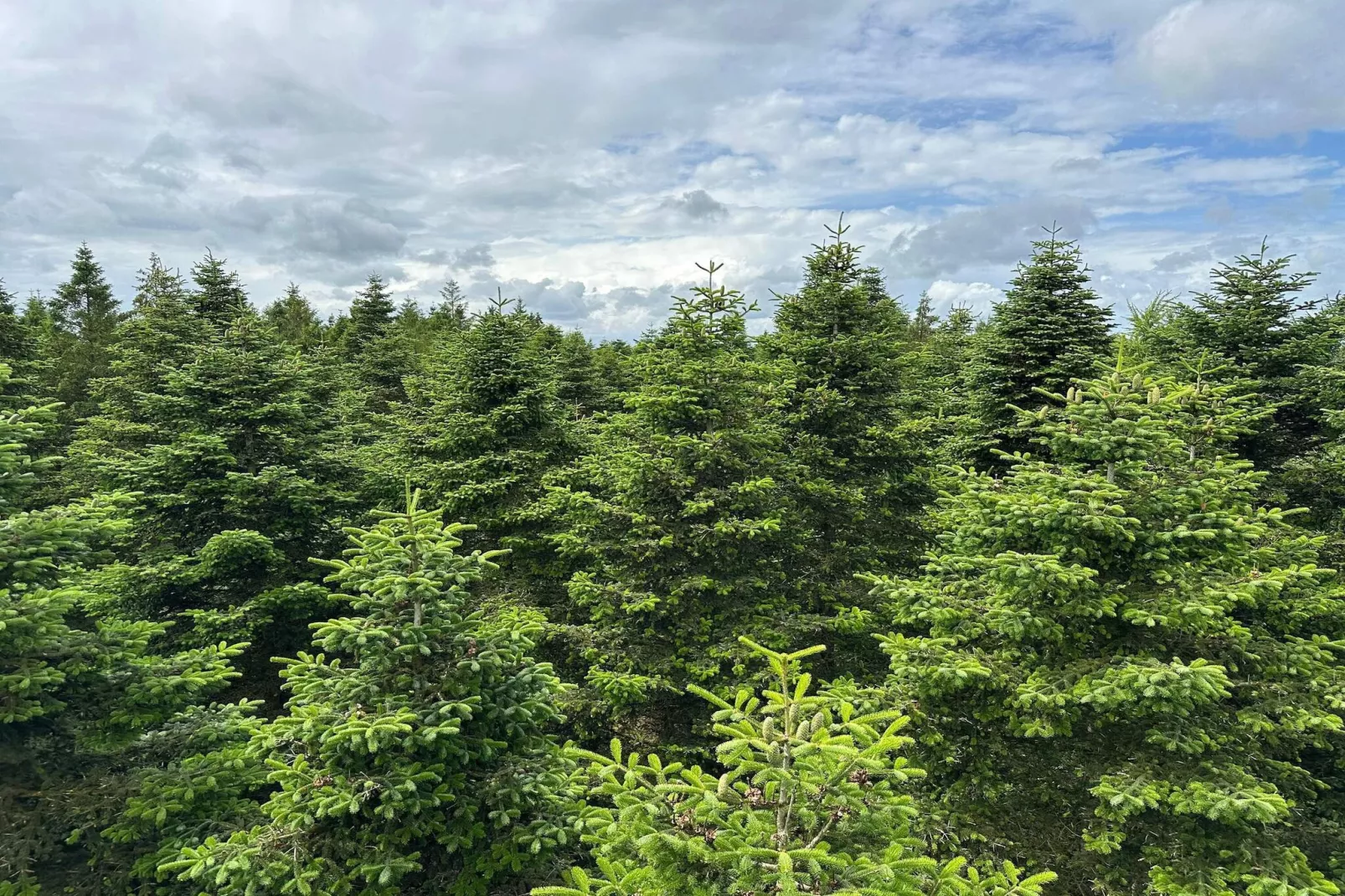 5 persoons vakantie huis in Hovborg-By Traum-Niet-getagd