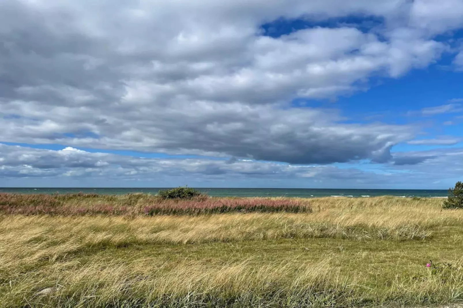 Natuur retraite bij strand -- By Traum Ferienwohnungen-Waterzicht